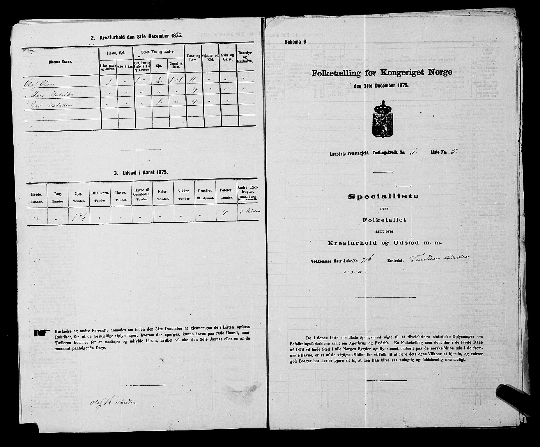 SAKO, 1875 census for 0833P Lårdal, 1875, p. 504