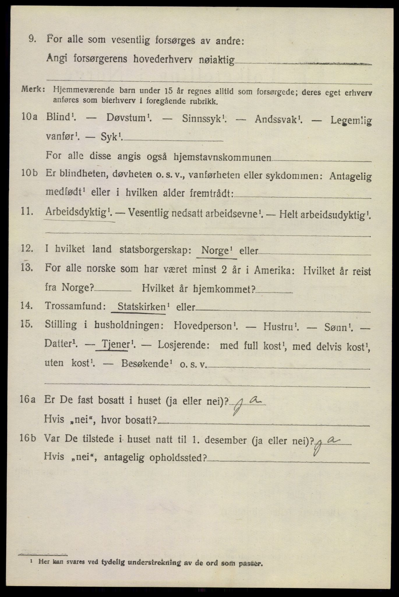 SAKO, 1920 census for Nore, 1920, p. 4037