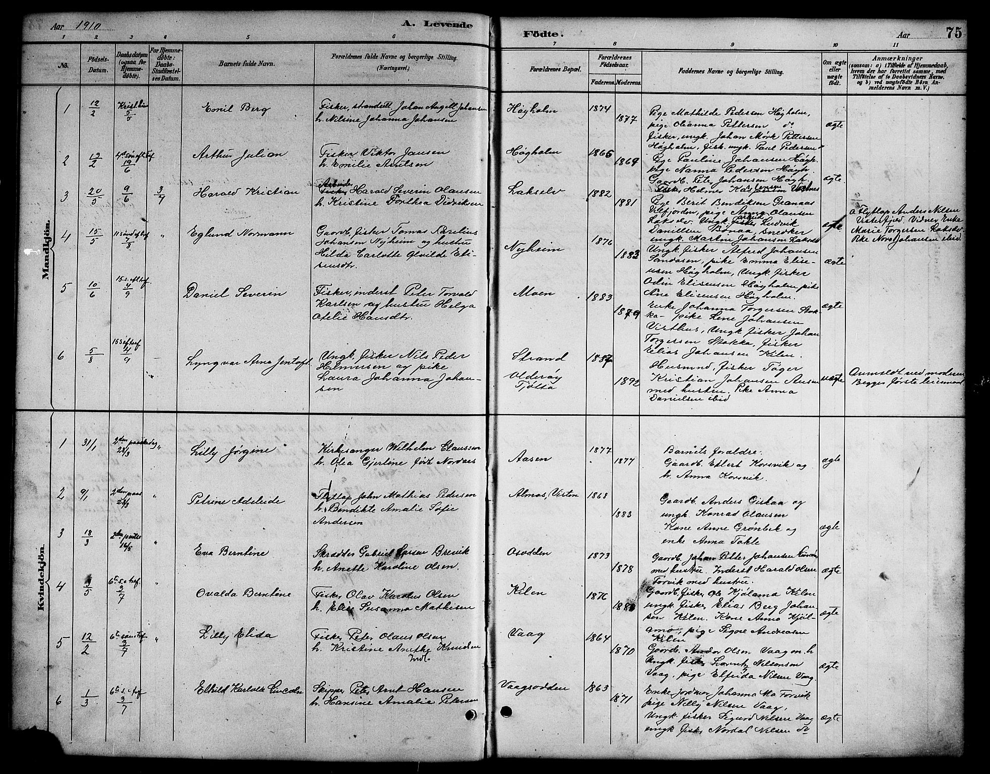 Ministerialprotokoller, klokkerbøker og fødselsregistre - Nordland, AV/SAT-A-1459/819/L0277: Parish register (copy) no. 819C03, 1888-1917, p. 75