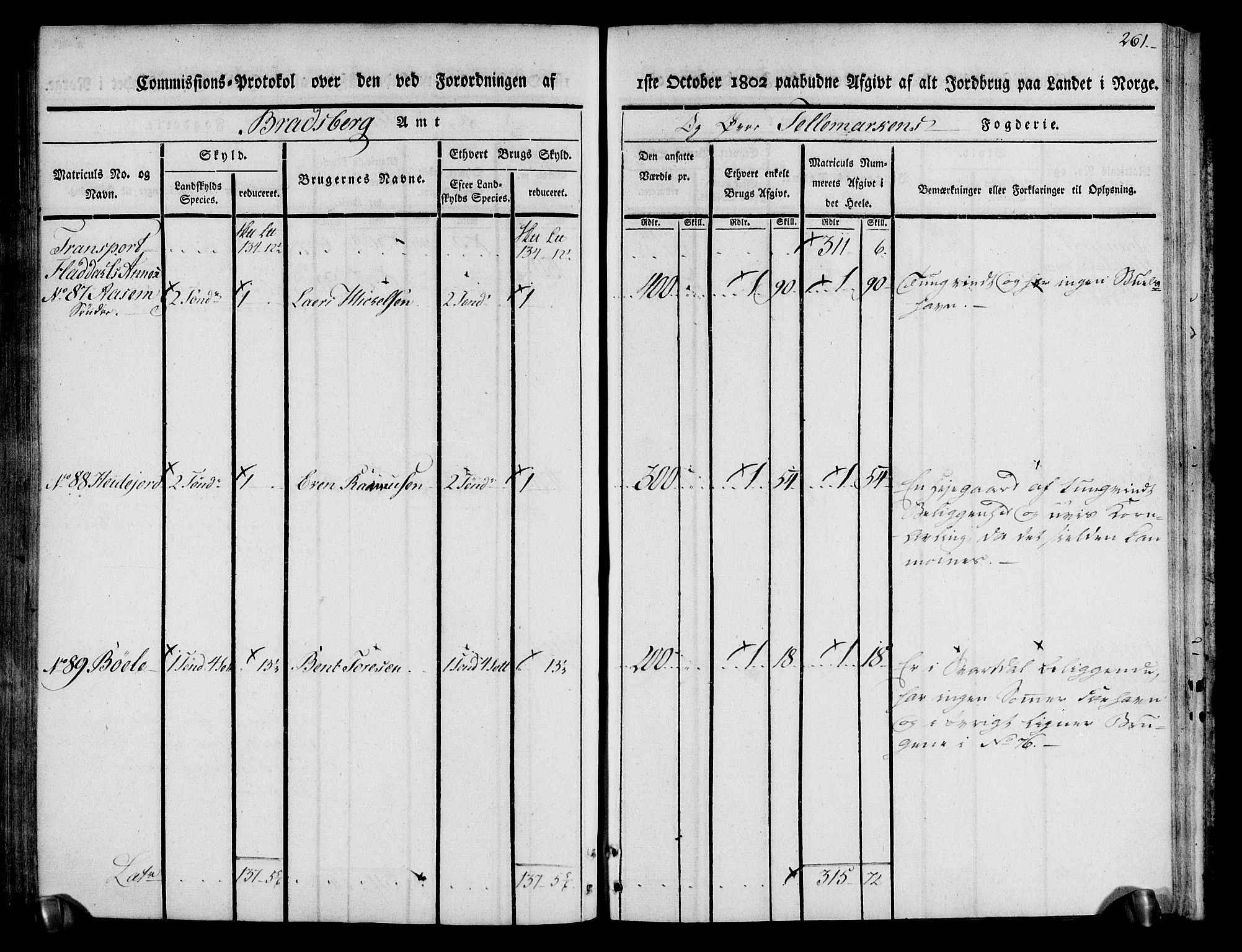 Rentekammeret inntil 1814, Realistisk ordnet avdeling, AV/RA-EA-4070/N/Ne/Nea/L0074: Øvre Telemarken fogderi. Kommisjonsprotokoll for fogderiets østre del - Tinn, Hjartdal og Seljord prestegjeld., 1803, p. 261