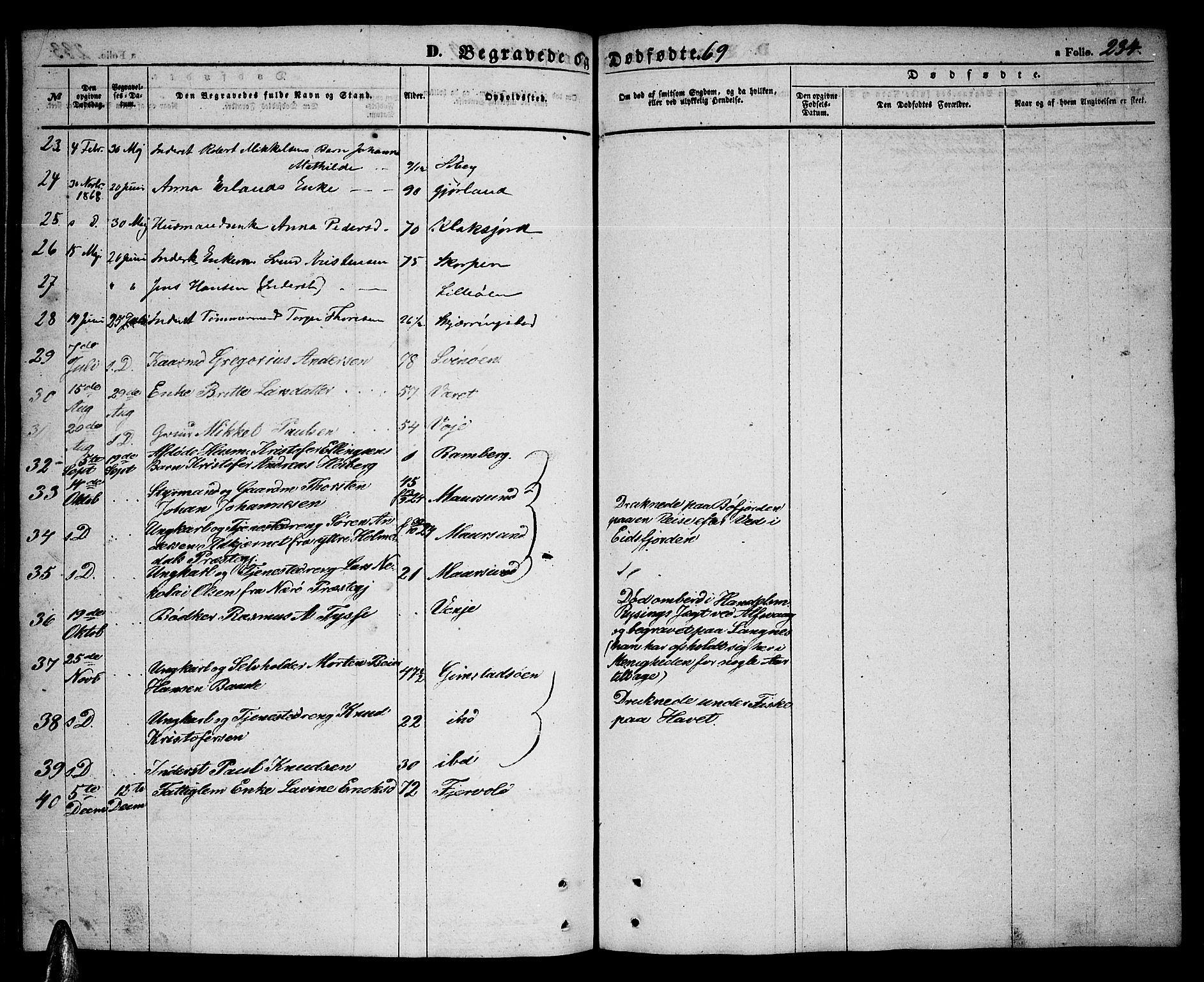 Ministerialprotokoller, klokkerbøker og fødselsregistre - Nordland, SAT/A-1459/891/L1313: Parish register (copy) no. 891C02, 1856-1870, p. 234