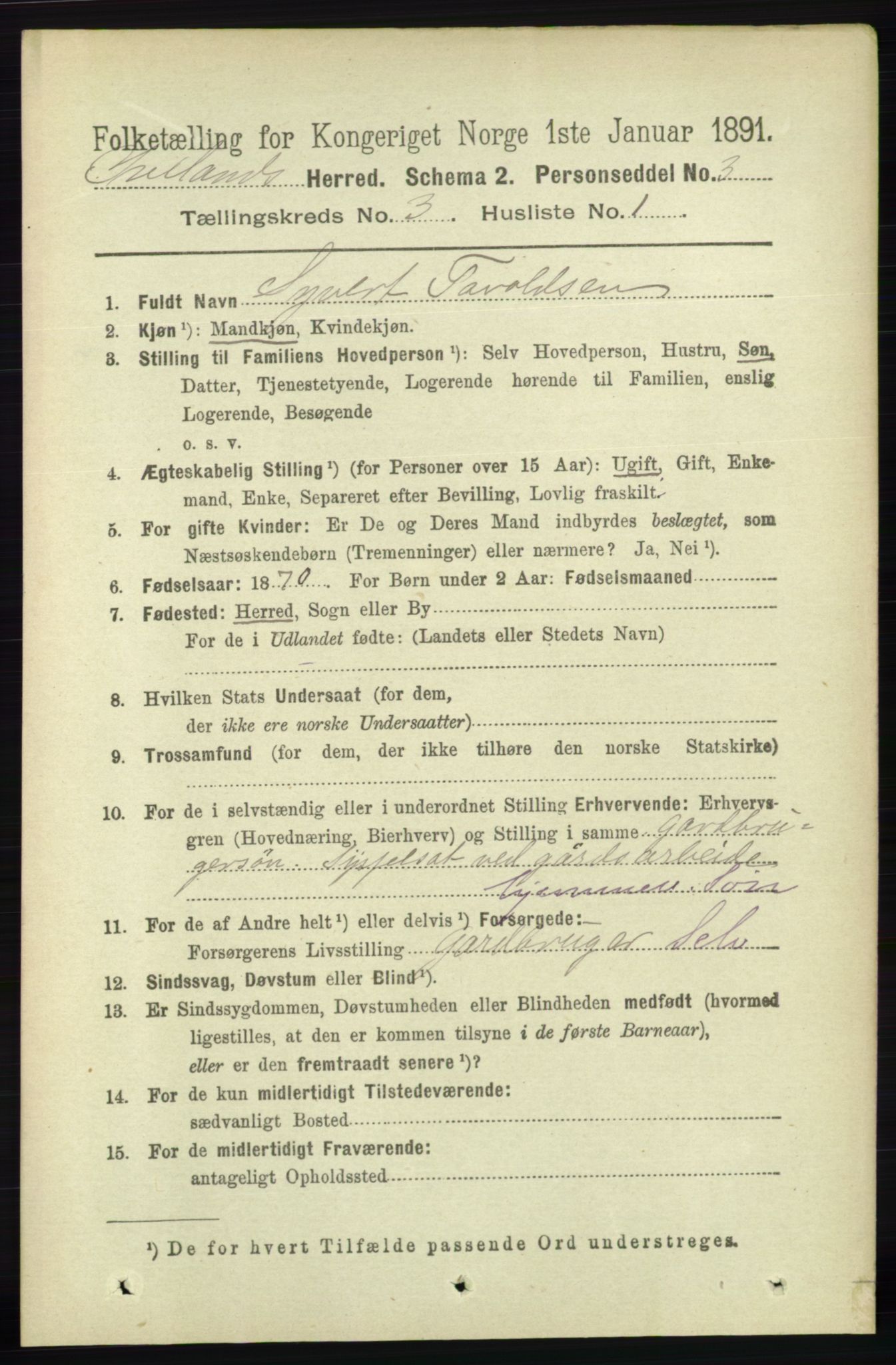 RA, 1891 census for 0935 Iveland, 1891, p. 731