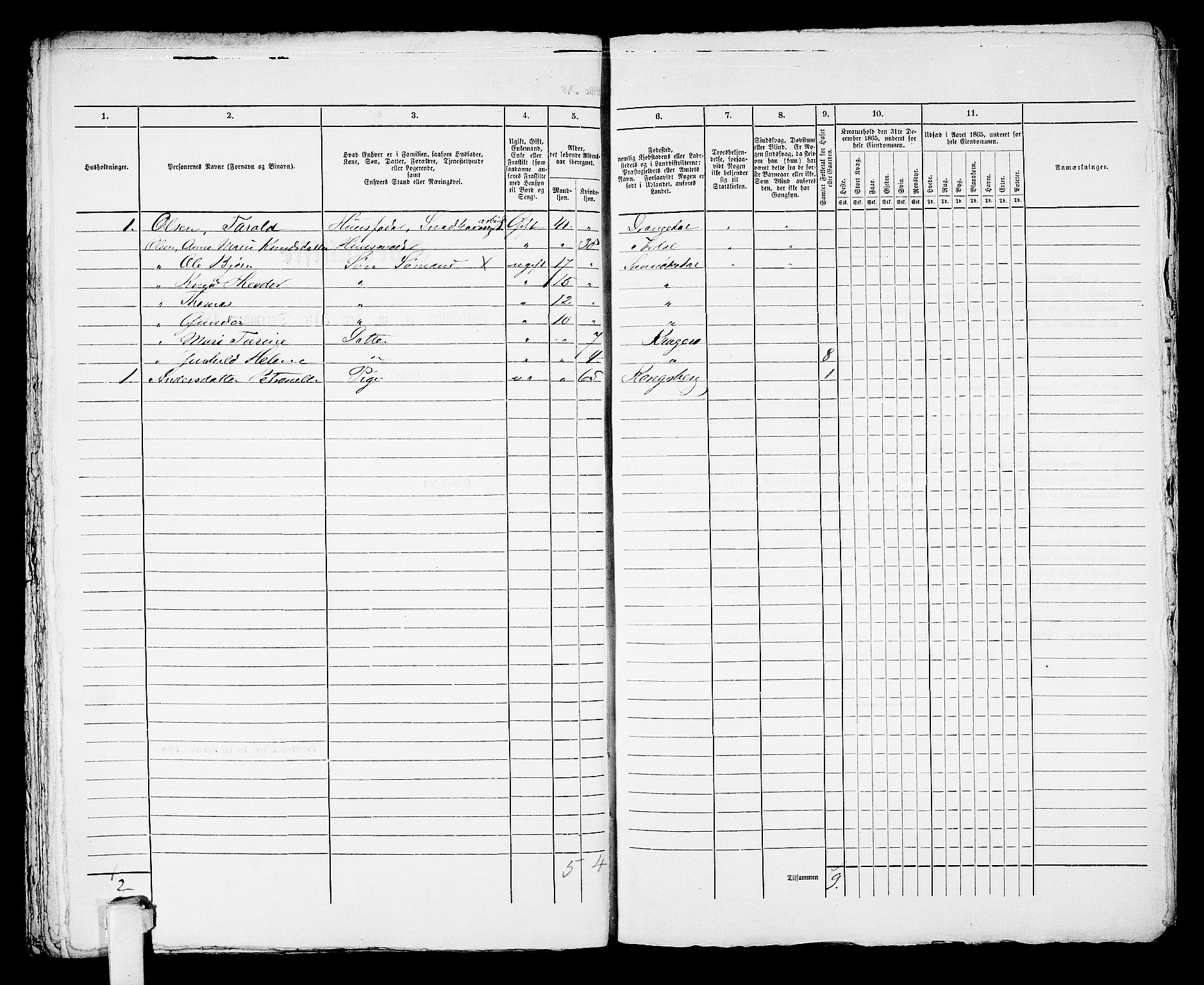 RA, 1865 census for Kragerø/Kragerø, 1865, p. 983