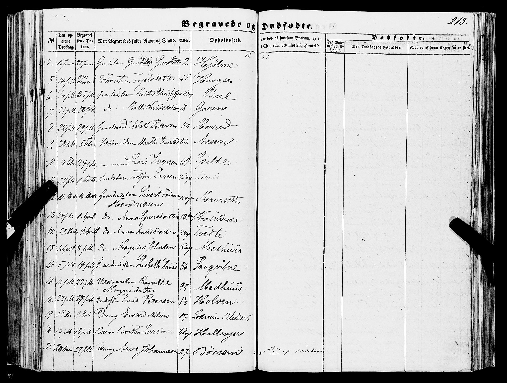 Ulvik sokneprestembete, AV/SAB-A-78801/H/Haa: Parish register (official) no. A 13, 1853-1863, p. 213