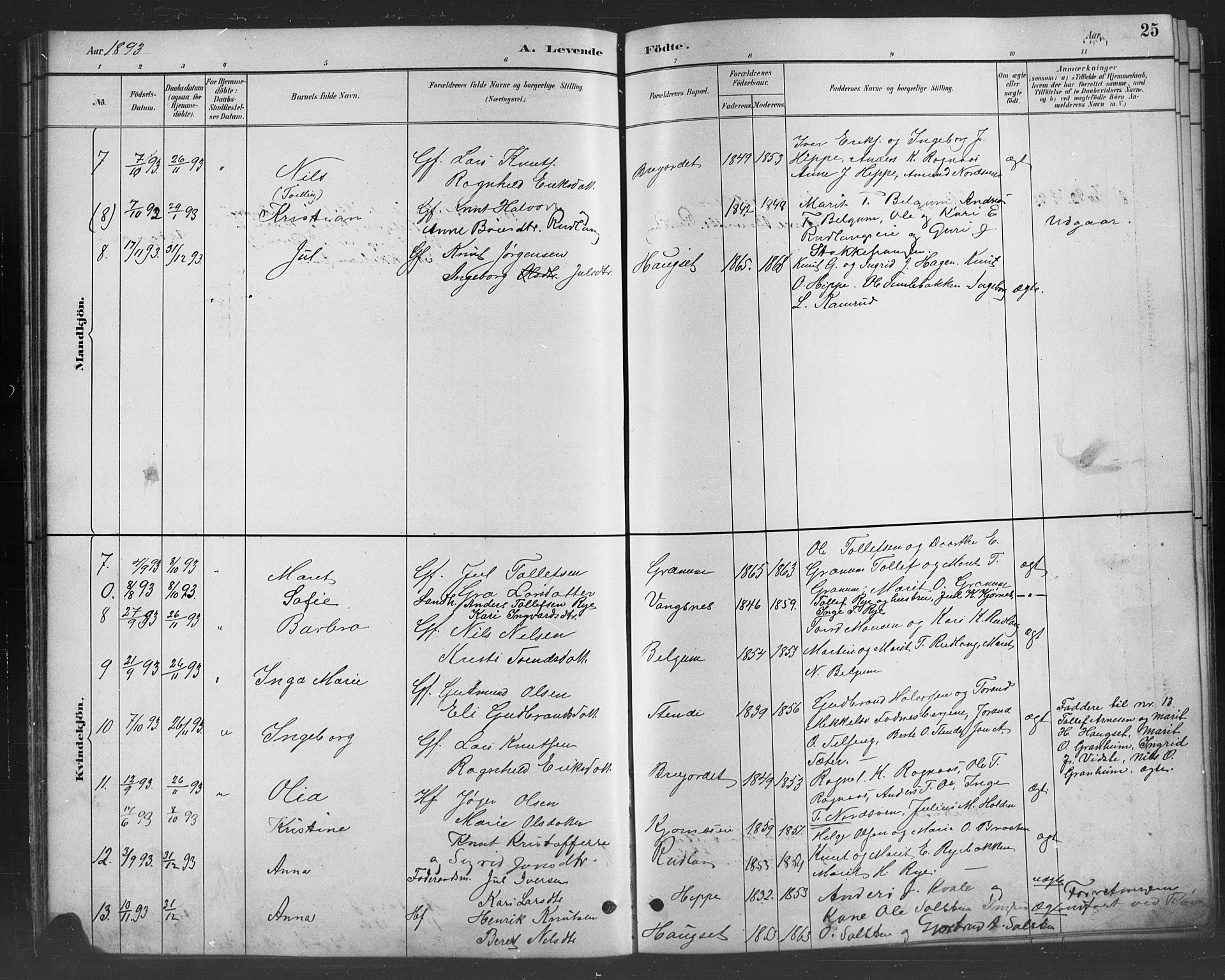 Nord-Aurdal prestekontor, SAH/PREST-132/H/Ha/Hab/L0008: Parish register (copy) no. 8, 1883-1916, p. 25