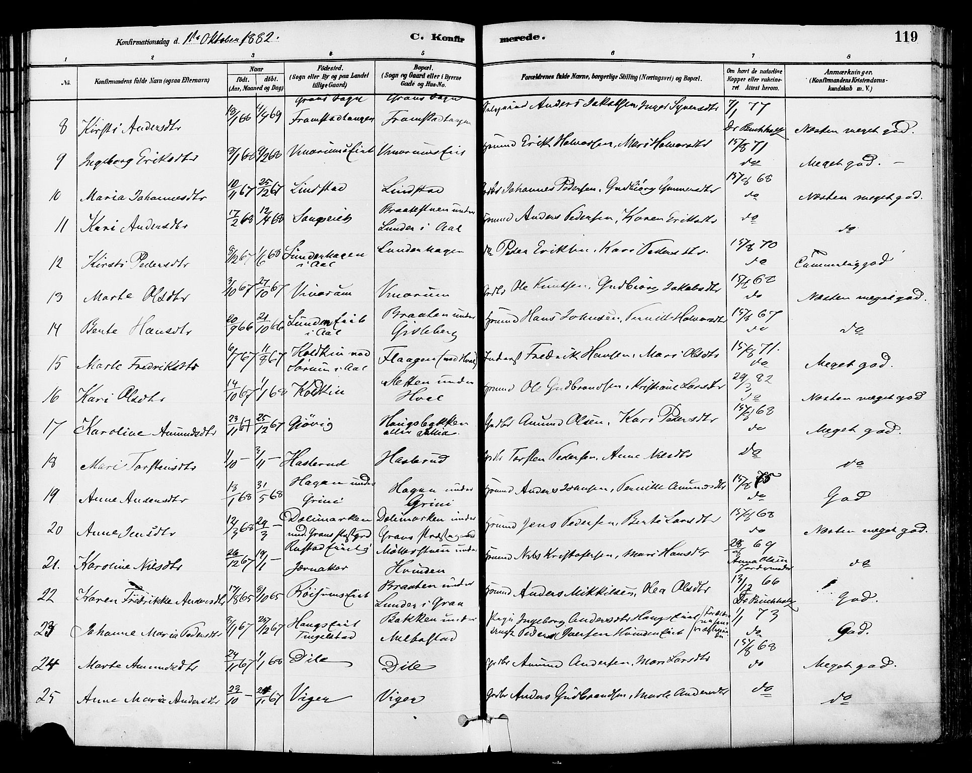 Gran prestekontor, SAH/PREST-112/H/Ha/Haa/L0014: Parish register (official) no. 14, 1880-1889, p. 119
