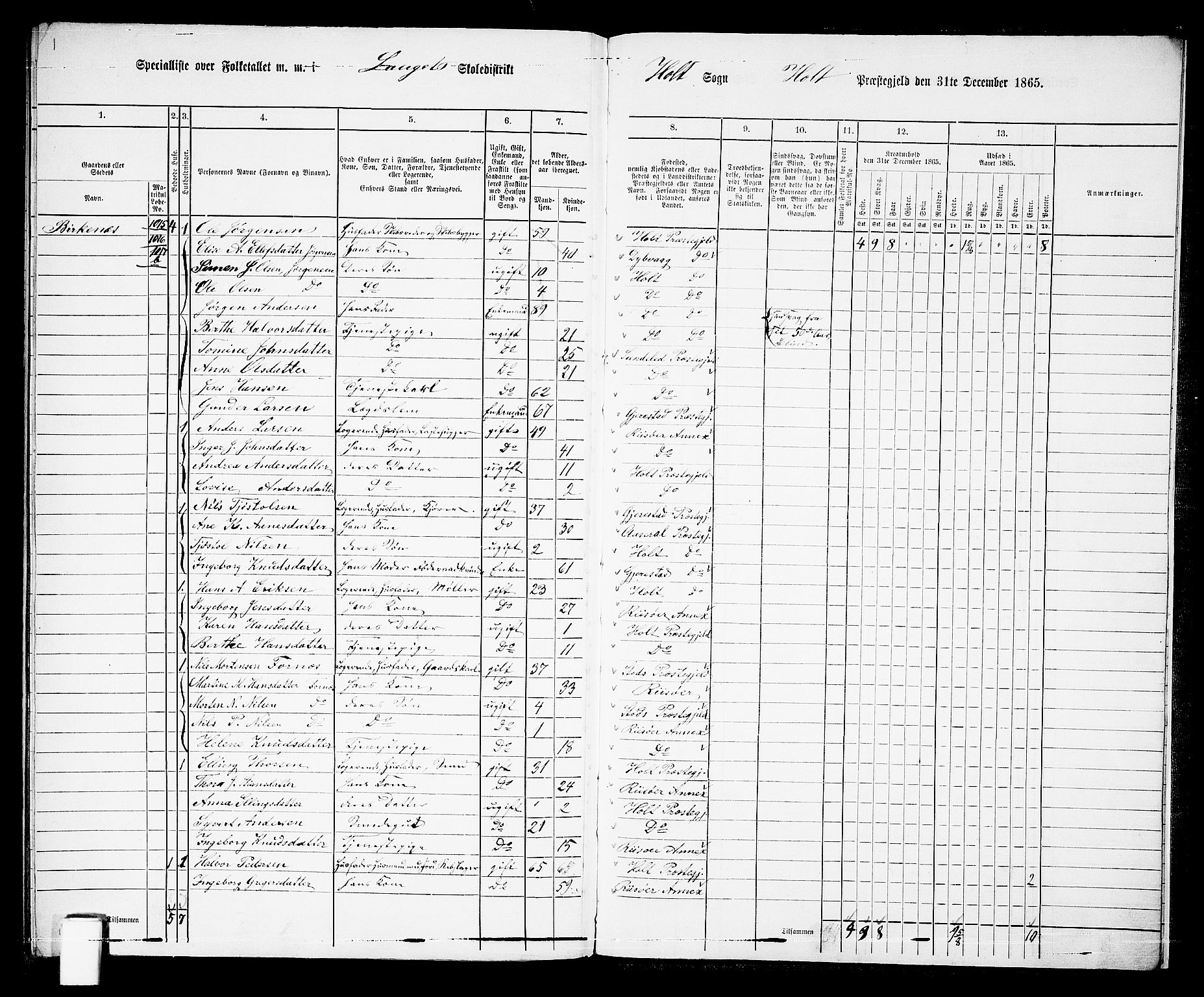 RA, 1865 census for Holt/Holt, 1865, p. 173