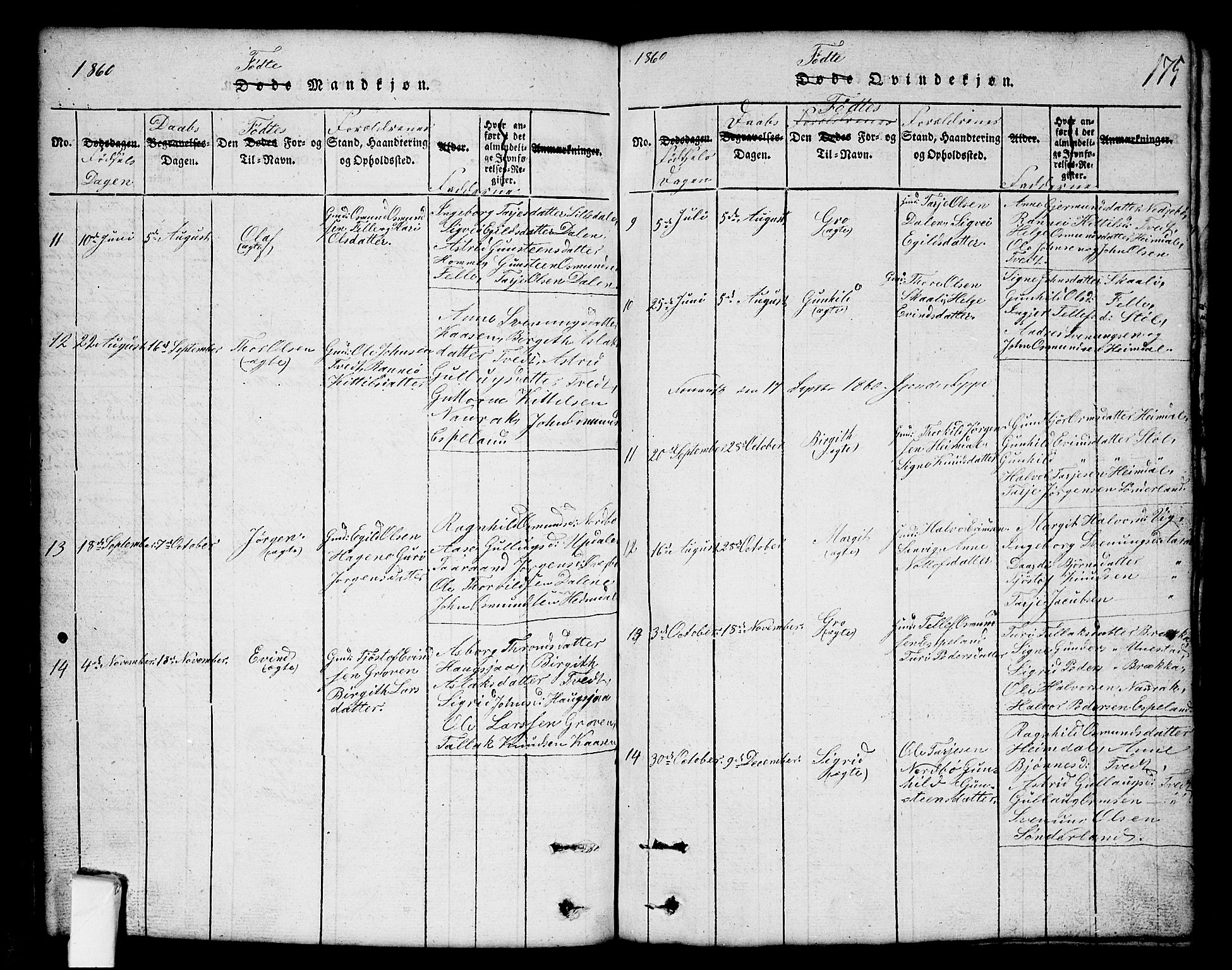 Nissedal kirkebøker, SAKO/A-288/G/Gb/L0001: Parish register (copy) no. II 1, 1814-1862, p. 175
