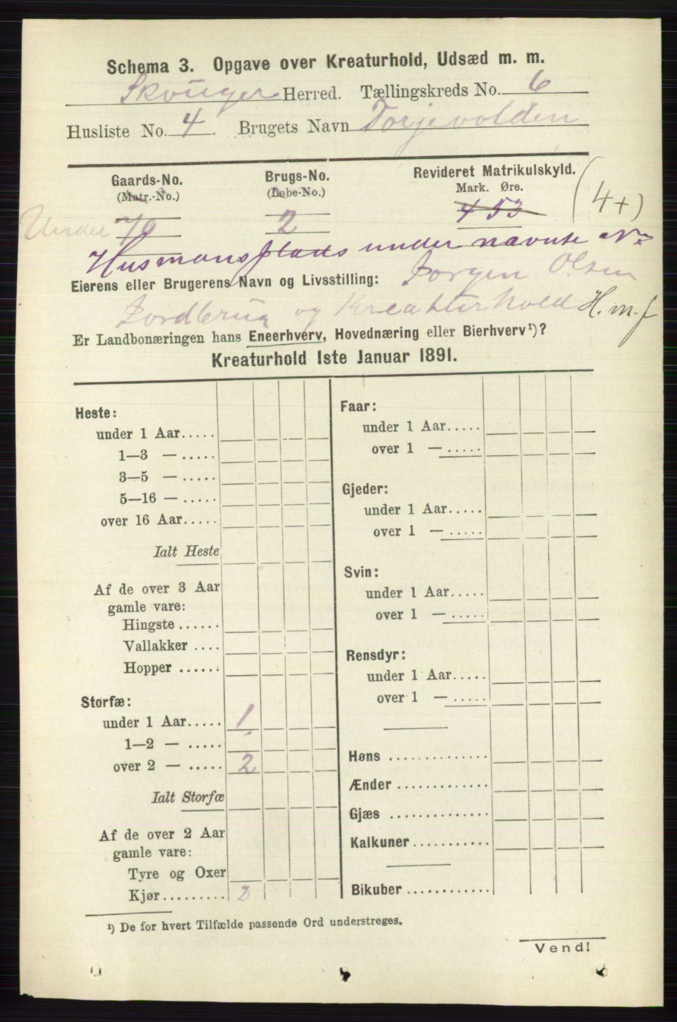 RA, 1891 census for 0712 Skoger, 1891, p. 5195