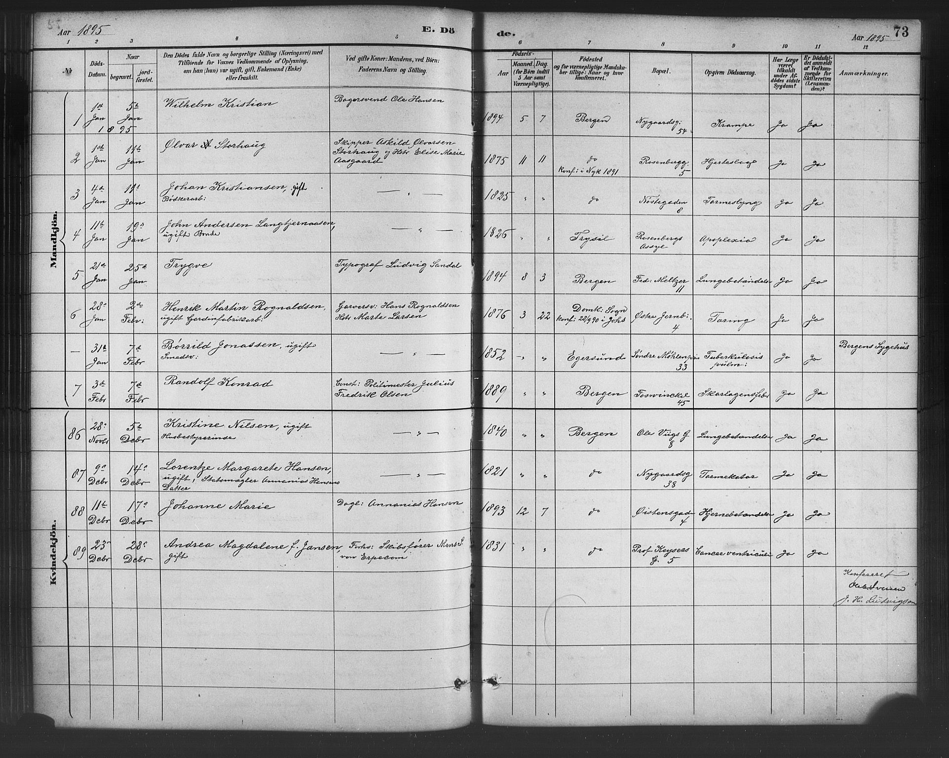 Johanneskirken sokneprestembete, SAB/A-76001/H/Hab: Parish register (copy) no. D 1, 1885-1915, p. 73