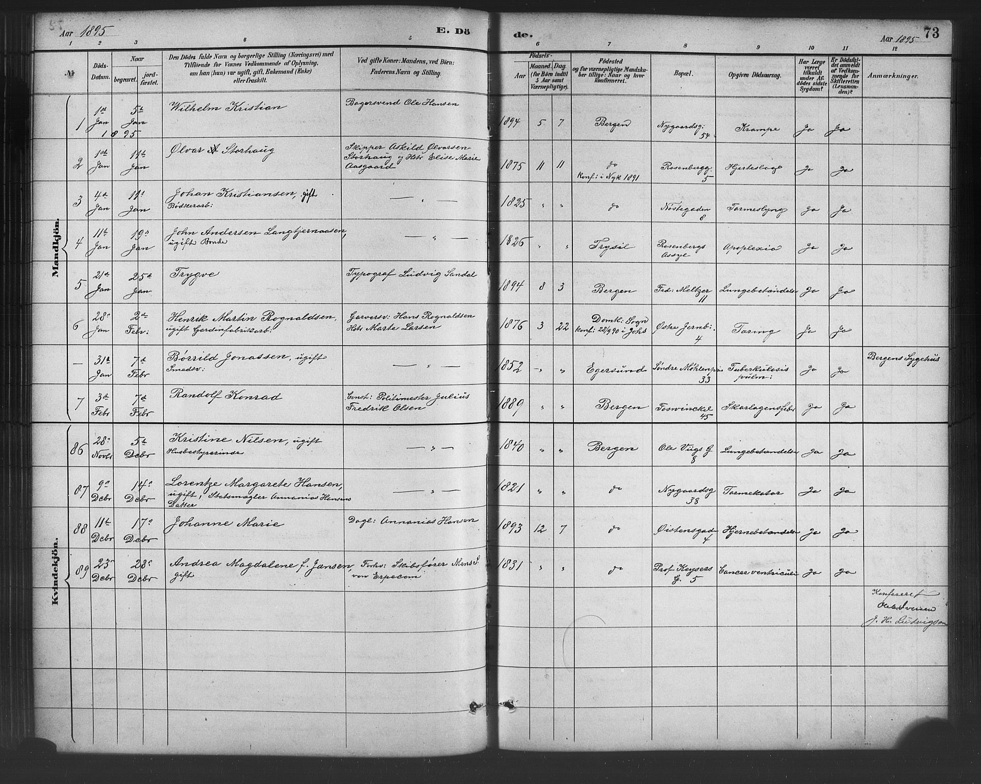 Johanneskirken sokneprestembete, AV/SAB-A-76001/H/Hab: Parish register (copy) no. D 1, 1885-1915, p. 73