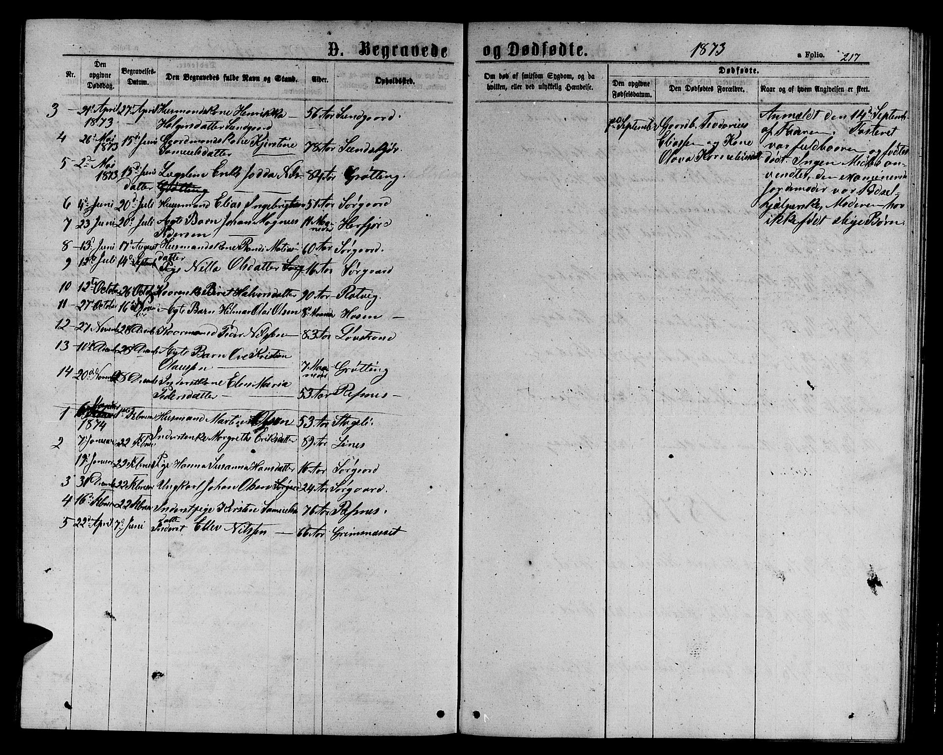 Ministerialprotokoller, klokkerbøker og fødselsregistre - Sør-Trøndelag, SAT/A-1456/656/L0695: Parish register (copy) no. 656C01, 1867-1889, p. 217