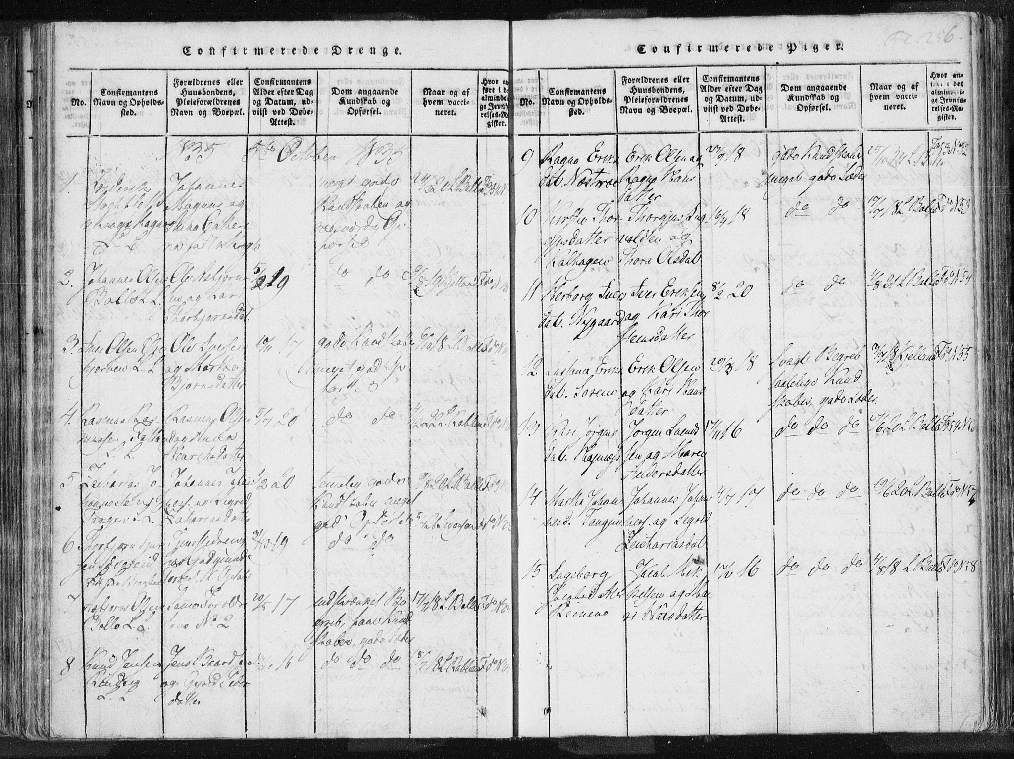 Vikedal sokneprestkontor, AV/SAST-A-101840/01/IV: Parish register (official) no. A 3, 1817-1850, p. 256