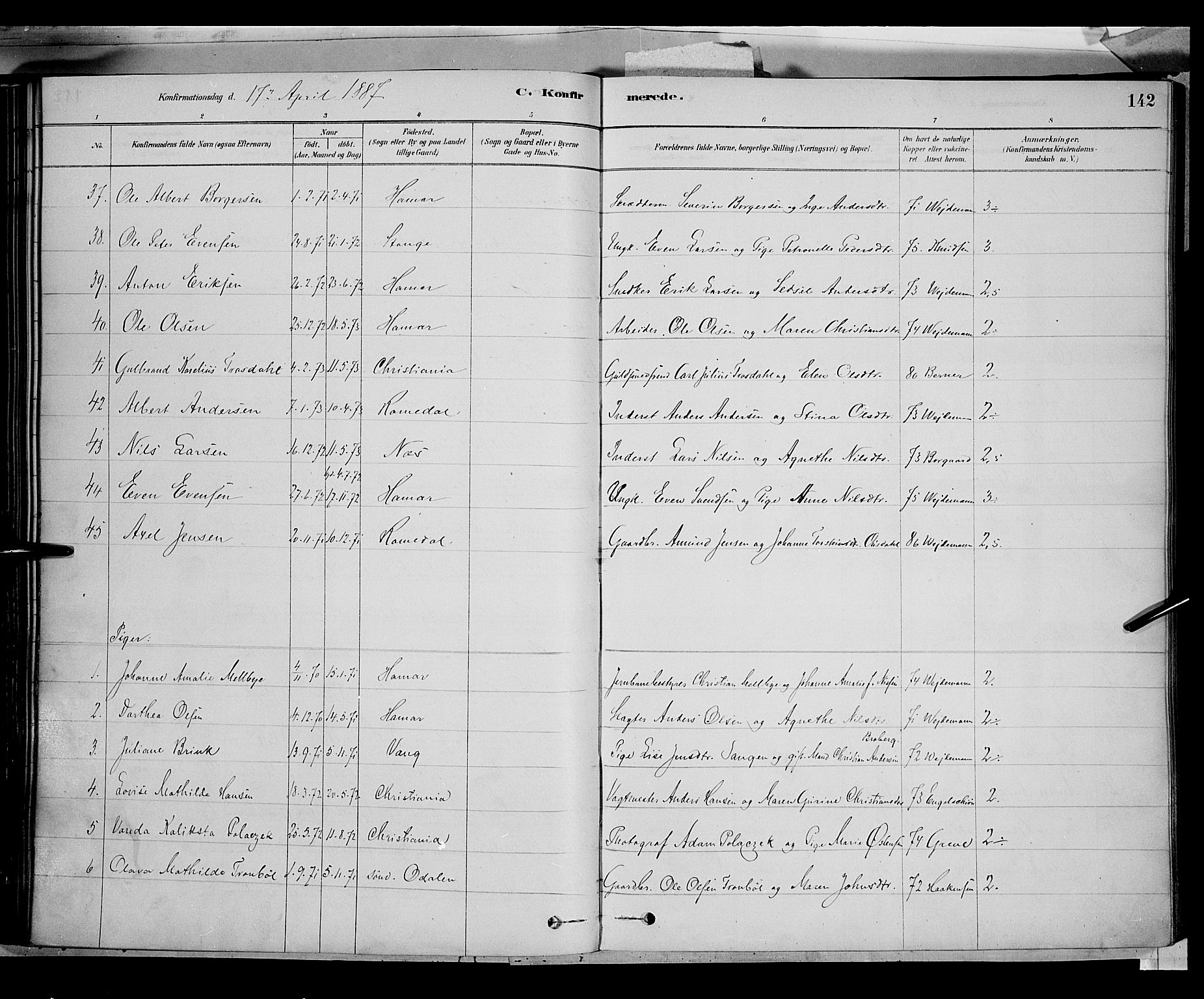 Vang prestekontor, Hedmark, AV/SAH-PREST-008/H/Ha/Haa/L0016: Parish register (official) no. 16, 1878-1889, p. 142