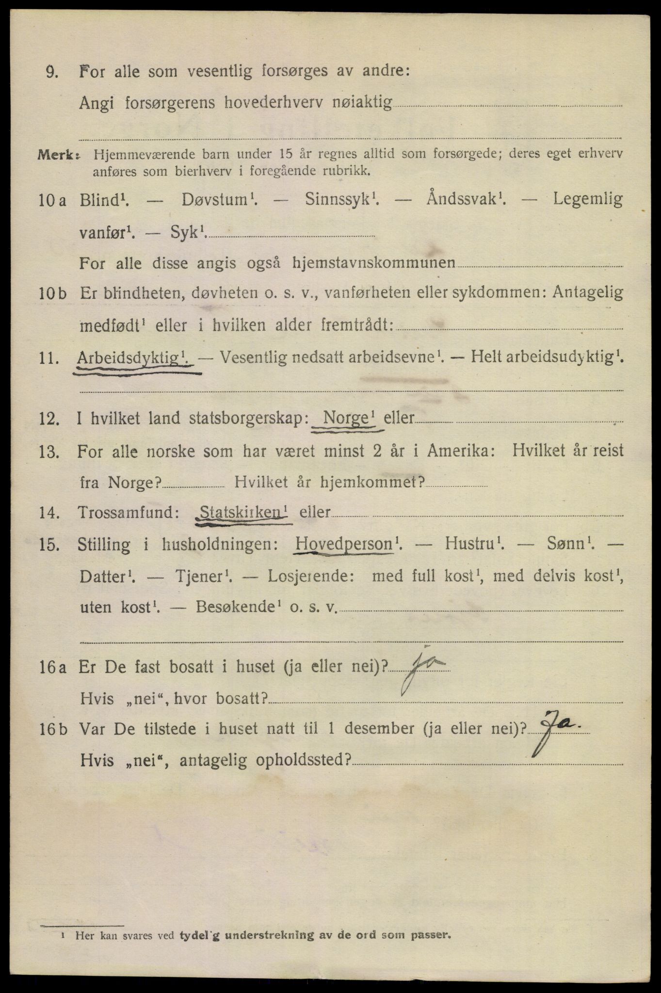 SAKO, 1920 census for Larvik, 1920, p. 28417