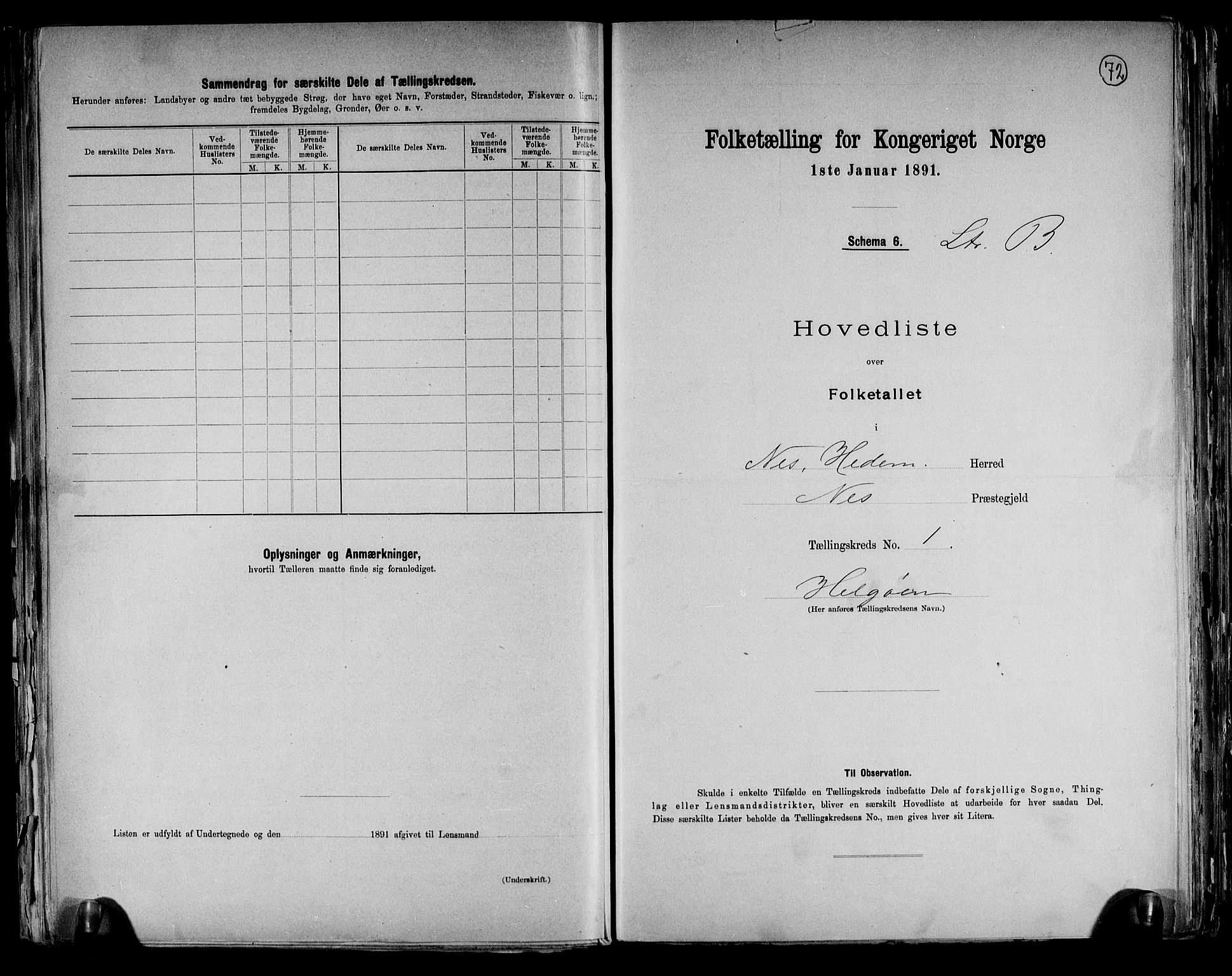 RA, 1891 census for 0411 Nes, 1891, p. 8