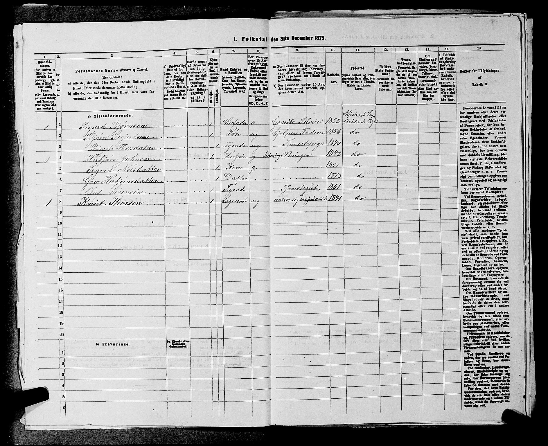 SAKO, 1875 census for 0835P Rauland, 1875, p. 229