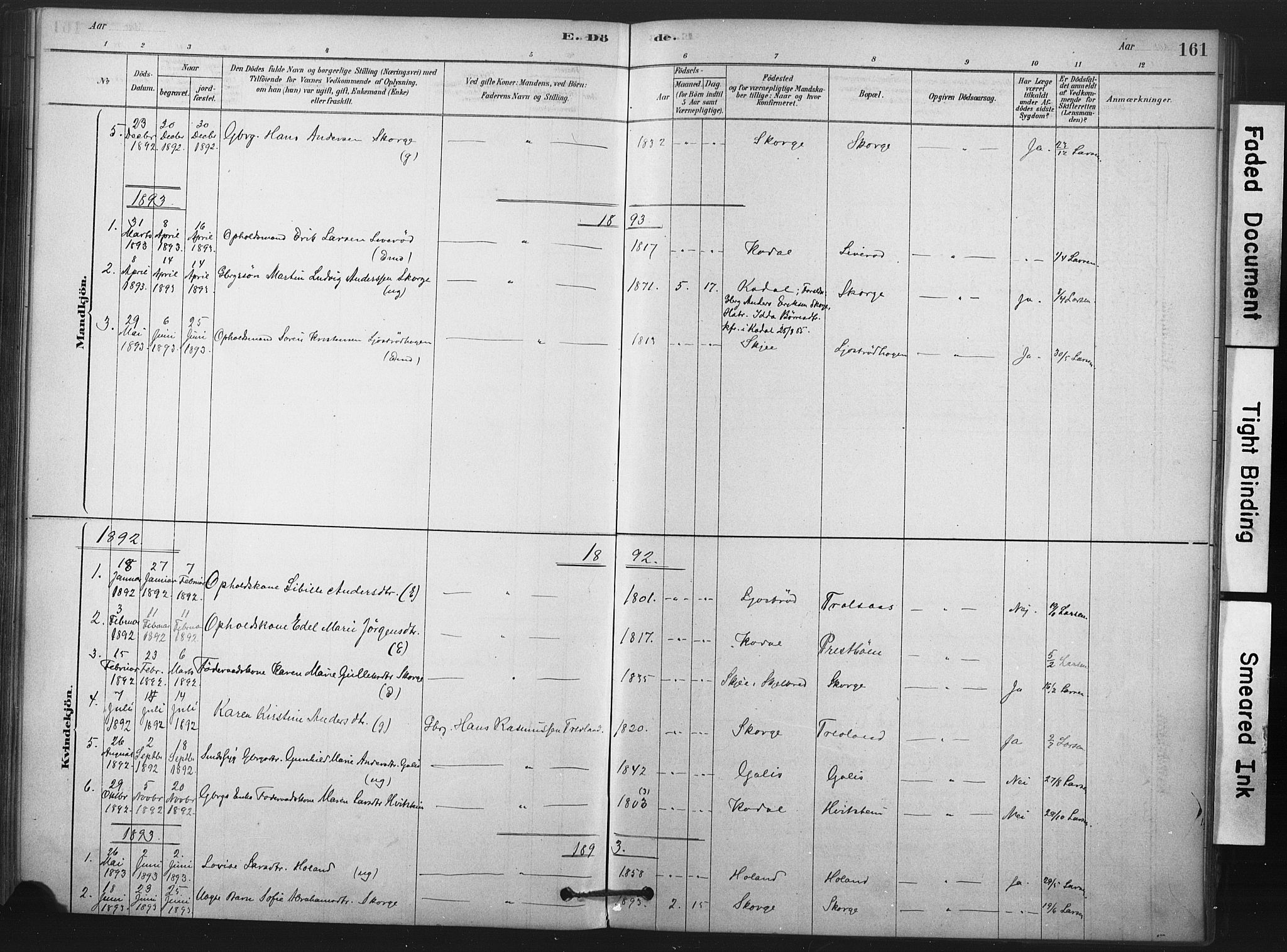 Andebu kirkebøker, AV/SAKO-A-336/F/Fa/L0008: Parish register (official) no. 8, 1878-1902, p. 161