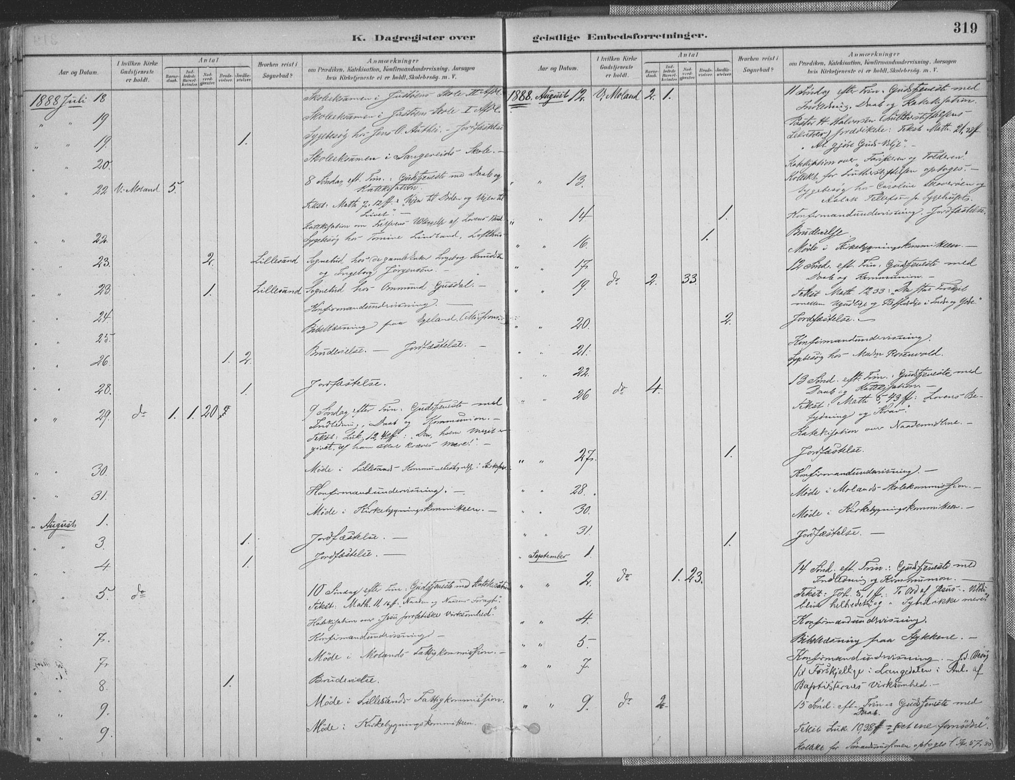 Vestre Moland sokneprestkontor, AV/SAK-1111-0046/F/Fa/Fab/L0009: Parish register (official) no. A 9, 1884-1899, p. 319