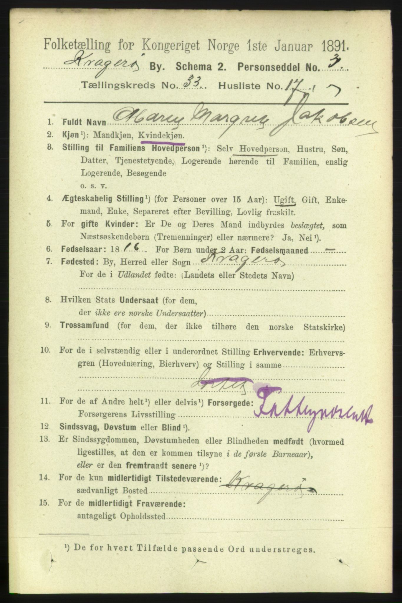 RA, 1891 census for 0801 Kragerø, 1891, p. 6079