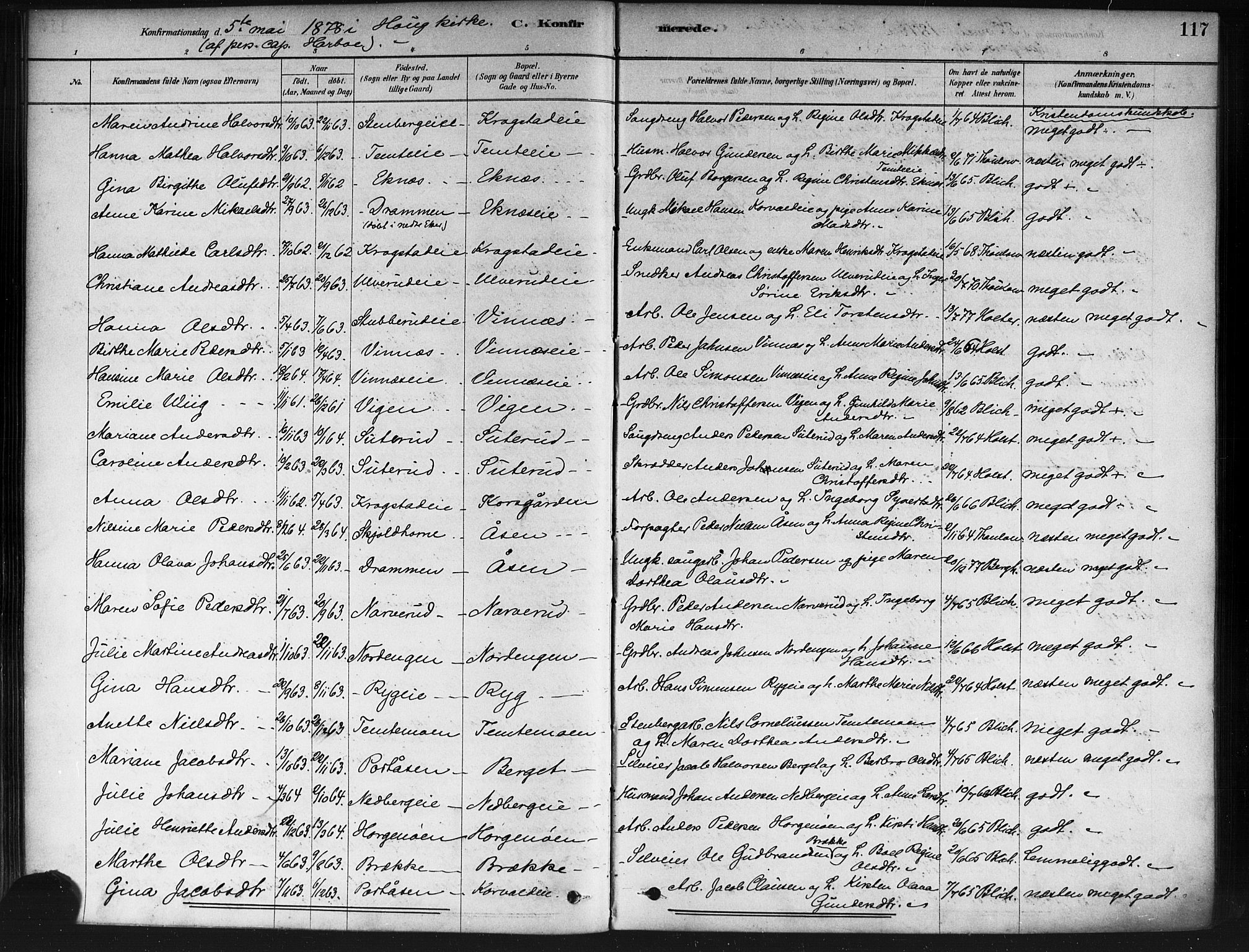 Nedre Eiker kirkebøker, SAKO/A-612/F/Fa/L0002: Parish register (official) no. 2, 1878-1885, p. 117