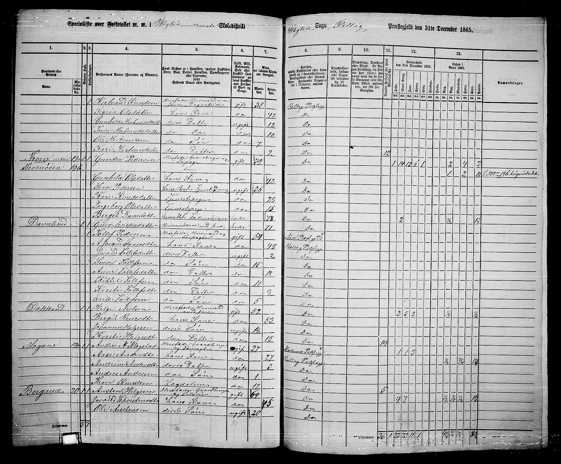 RA, 1865 census for Rollag, 1865, p. 65