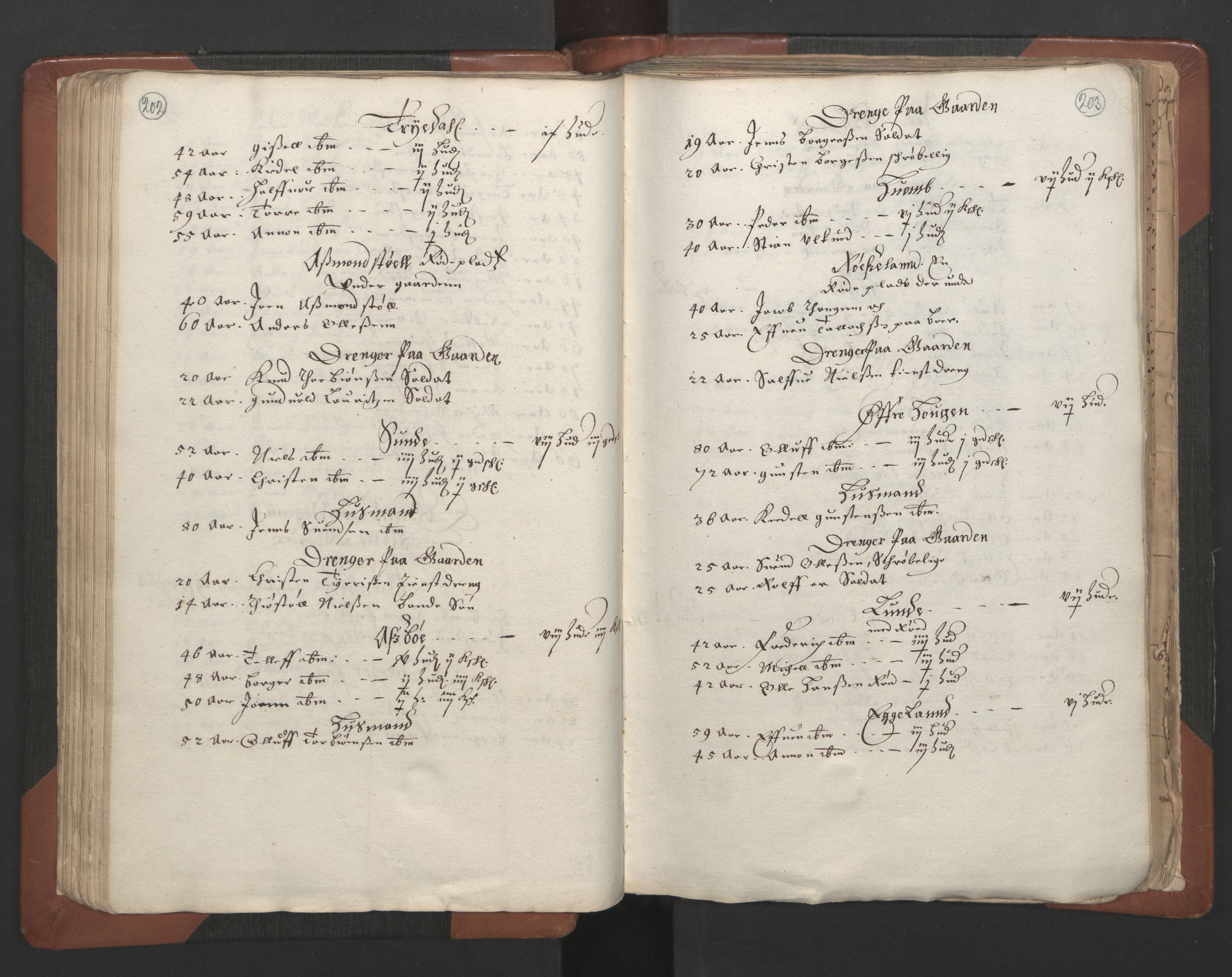 RA, Bailiff's Census 1664-1666, no. 7: Nedenes fogderi, 1664-1666, p. 202-203