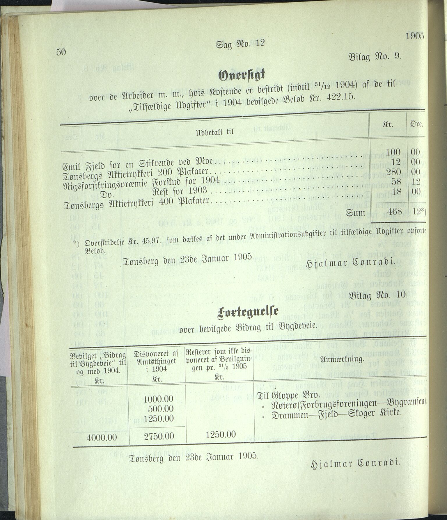 Vestfold fylkeskommune. Fylkestinget, VEMU/A-1315/A/Ab/Abb/L0052: Fylkestingsforhandlinger, 1905, p. 50