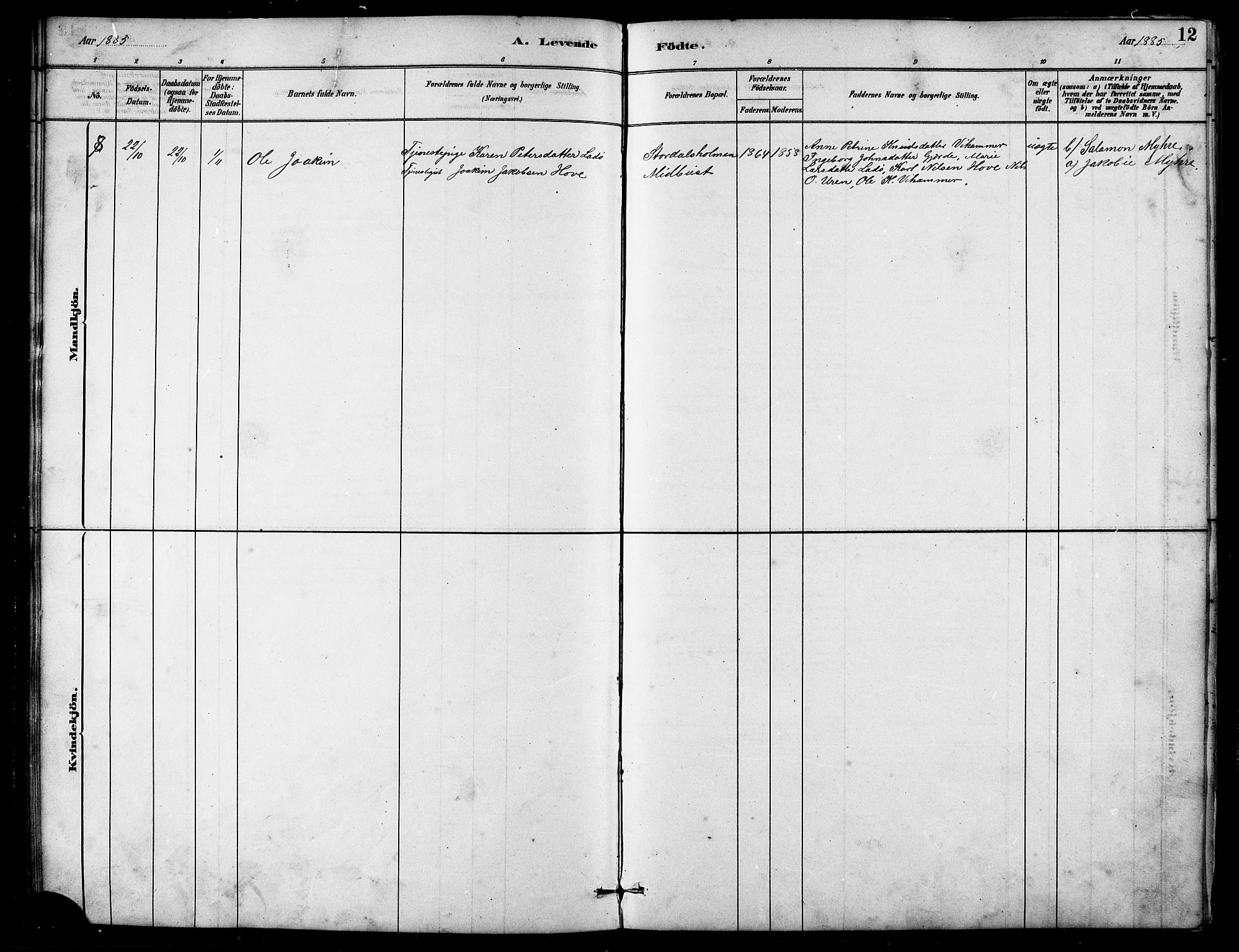 Ministerialprotokoller, klokkerbøker og fødselsregistre - Møre og Romsdal, SAT/A-1454/521/L0302: Parish register (copy) no. 521C03, 1882-1907, p. 12