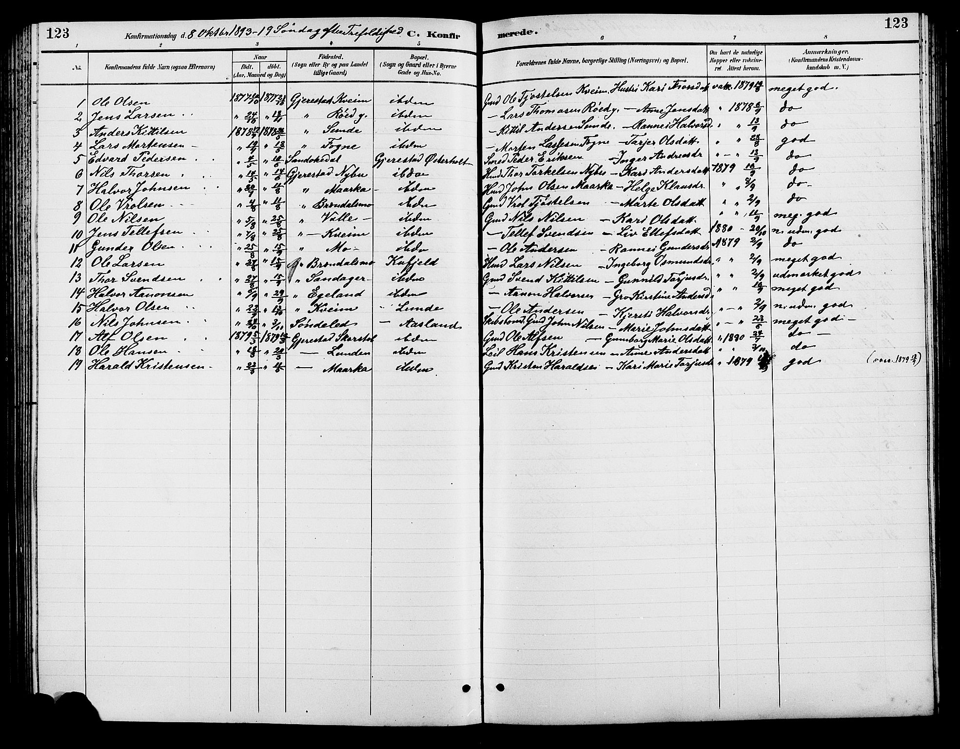 Gjerstad sokneprestkontor, SAK/1111-0014/F/Fb/Fba/L0007: Parish register (copy) no. B 7, 1891-1908, p. 123