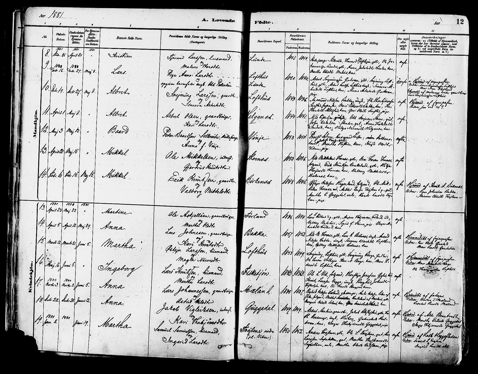 Suldal sokneprestkontor, AV/SAST-A-101845/01/IV/L0011: Parish register (official) no. A 11, 1878-1900, p. 12