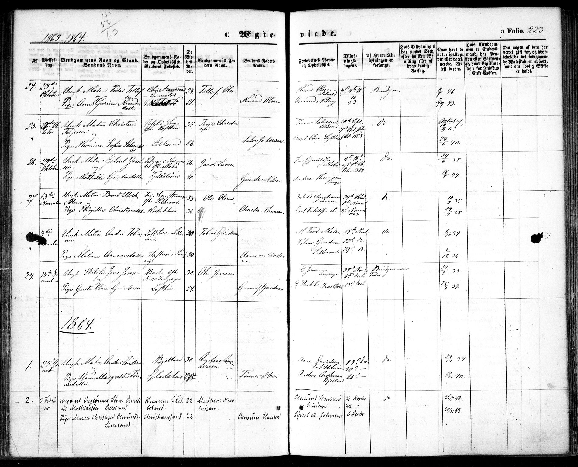 Vestre Moland sokneprestkontor, SAK/1111-0046/F/Fa/Fab/L0007: Parish register (official) no. A 7, 1859-1872, p. 223