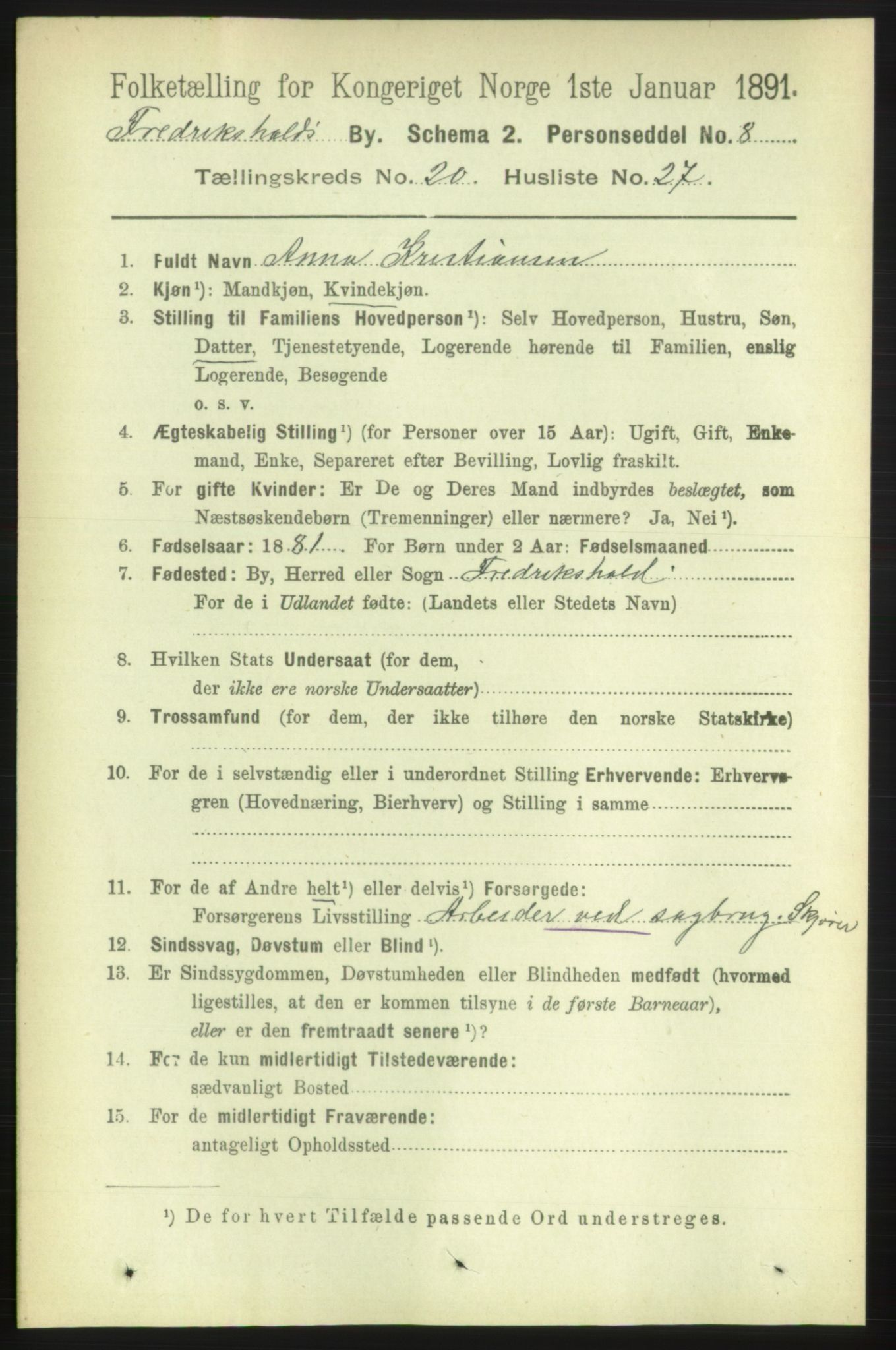 RA, 1891 census for 0101 Fredrikshald, 1891, p. 12719