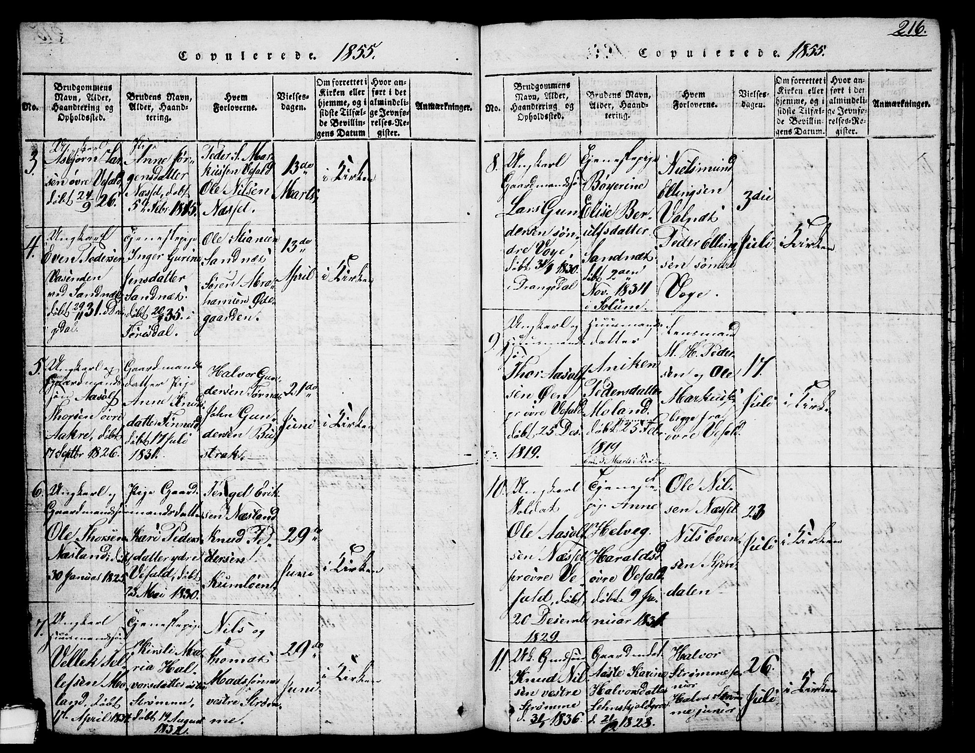 Drangedal kirkebøker, AV/SAKO-A-258/G/Ga/L0001: Parish register (copy) no. I 1 /1, 1814-1856, p. 216