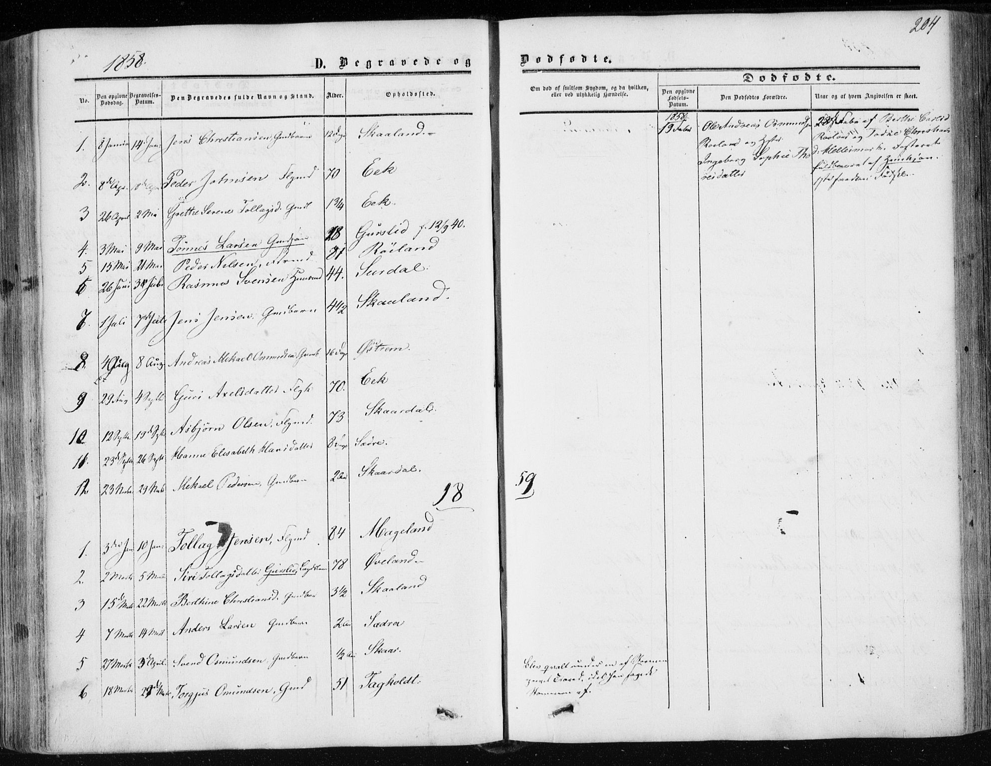 Lund sokneprestkontor, AV/SAST-A-101809/S06/L0009: Parish register (official) no. A 8, 1853-1877, p. 204