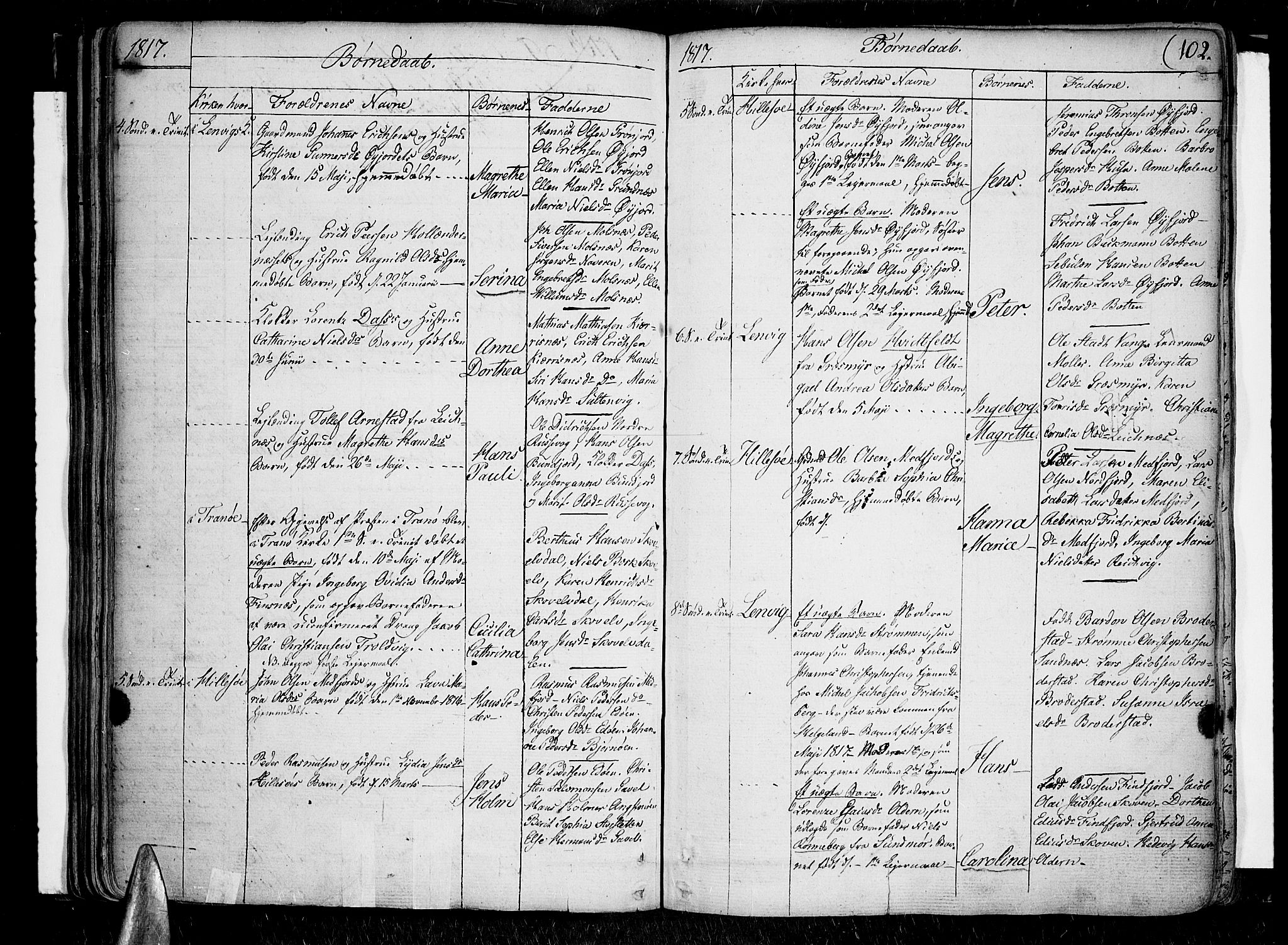 Lenvik sokneprestembete, AV/SATØ-S-1310/H/Ha/Haa/L0002kirke: Parish register (official) no. 2, 1784-1820, p. 102
