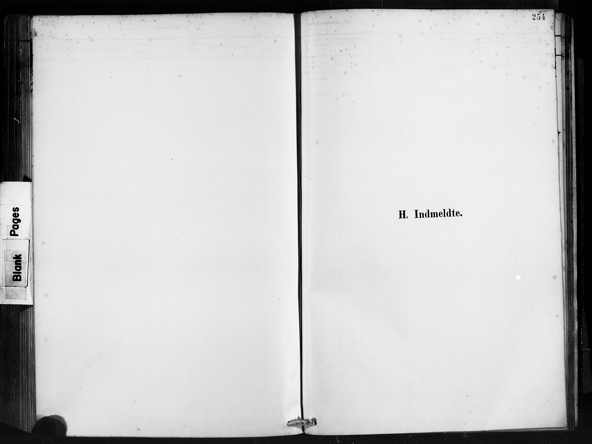 Ministerialprotokoller, klokkerbøker og fødselsregistre - Møre og Romsdal, AV/SAT-A-1454/501/L0008: Parish register (official) no. 501A08, 1885-1901, p. 254