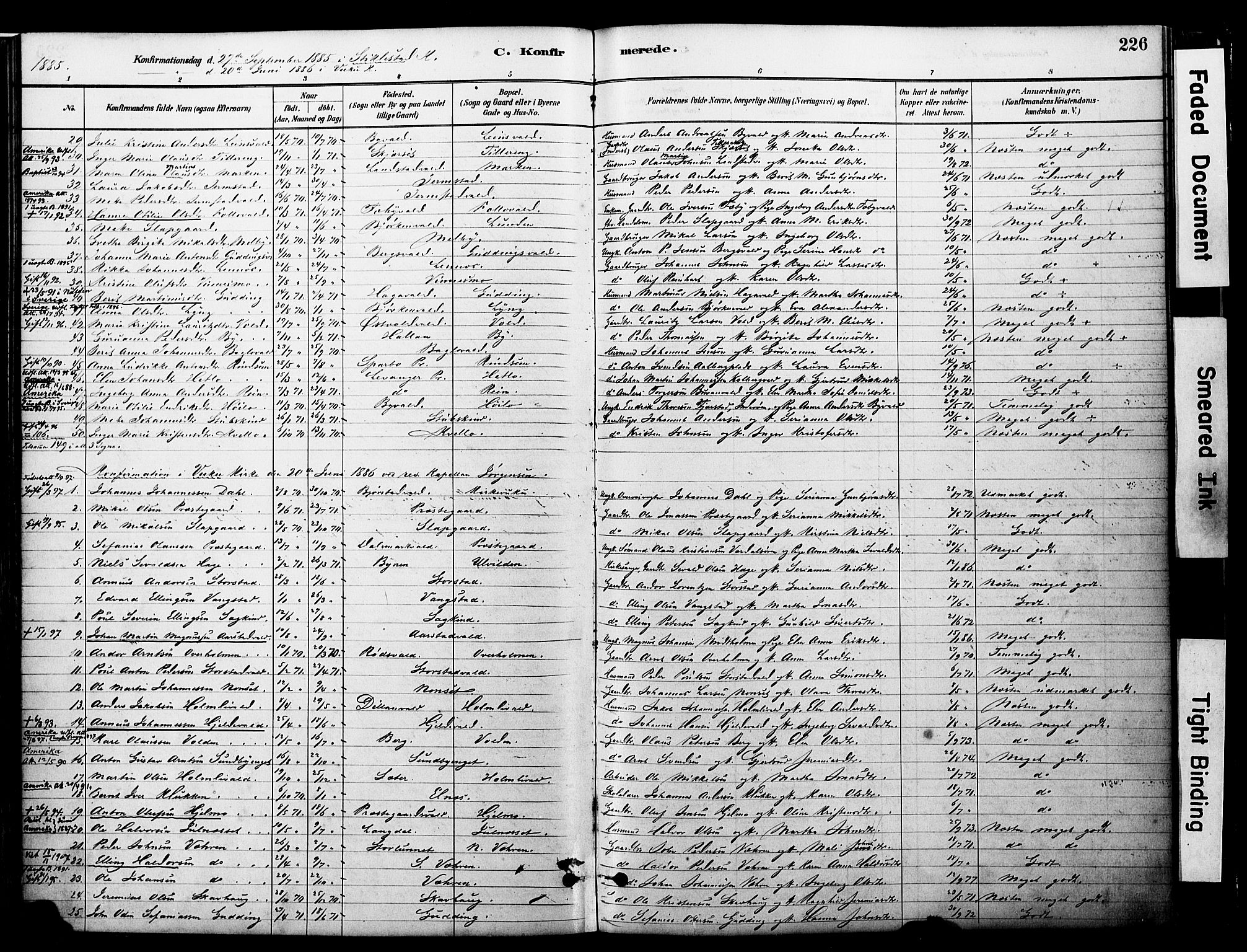 Ministerialprotokoller, klokkerbøker og fødselsregistre - Nord-Trøndelag, SAT/A-1458/723/L0244: Parish register (official) no. 723A13, 1881-1899, p. 226