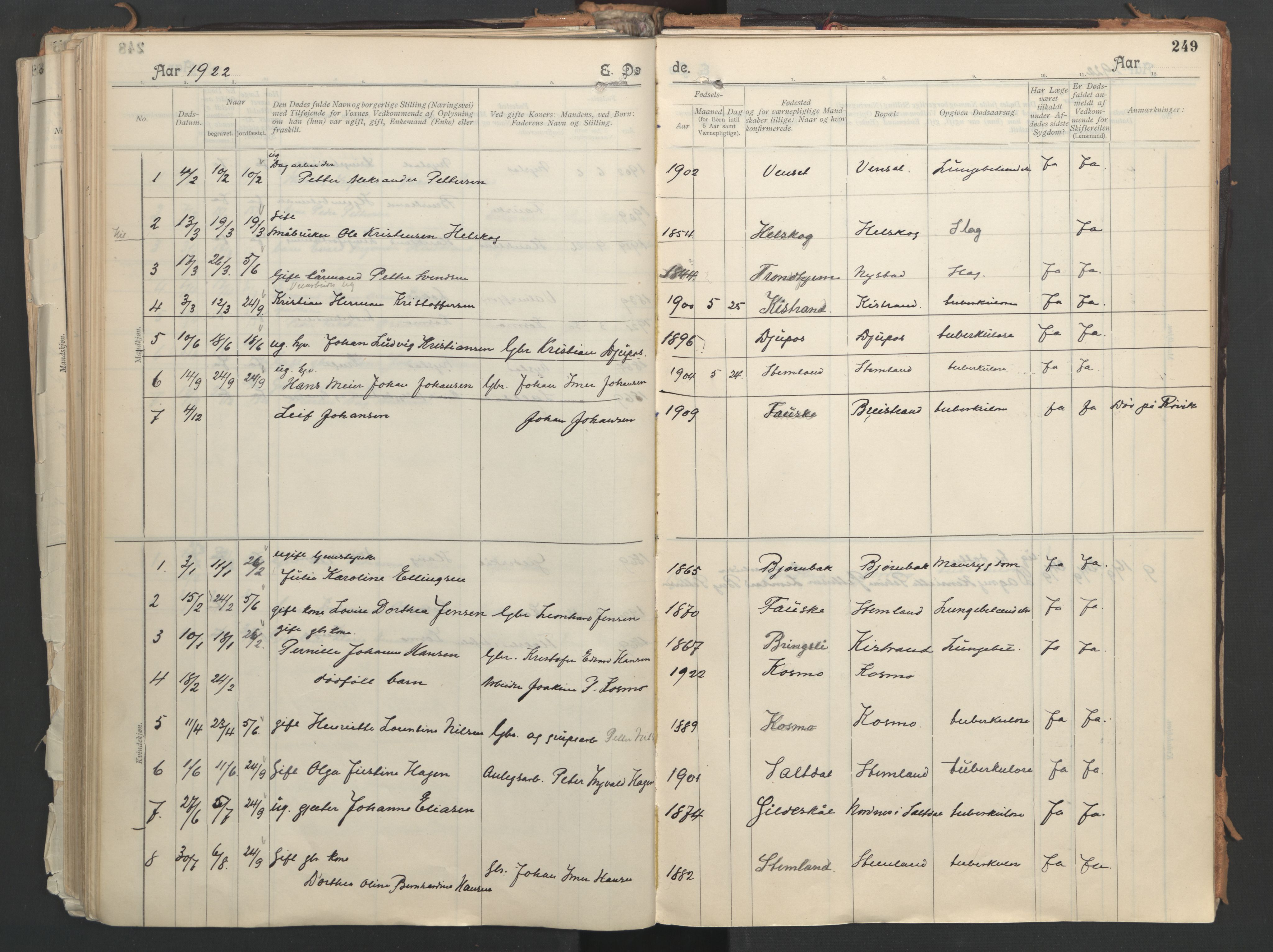 Ministerialprotokoller, klokkerbøker og fødselsregistre - Nordland, AV/SAT-A-1459/851/L0724: Parish register (official) no. 851A01, 1901-1922, p. 249