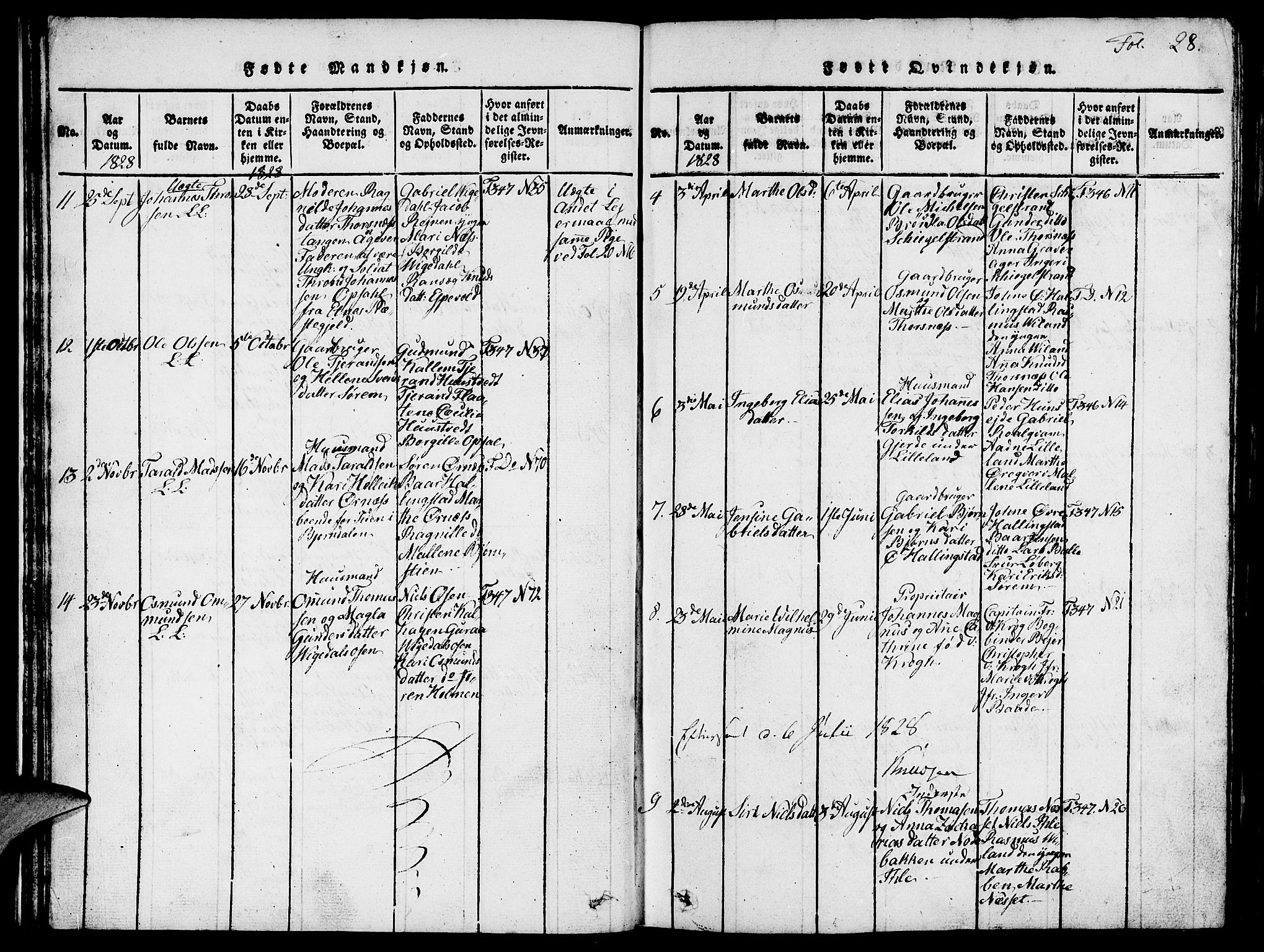 Vikedal sokneprestkontor, AV/SAST-A-101840/01/V: Parish register (copy) no. B 1, 1816-1853, p. 28