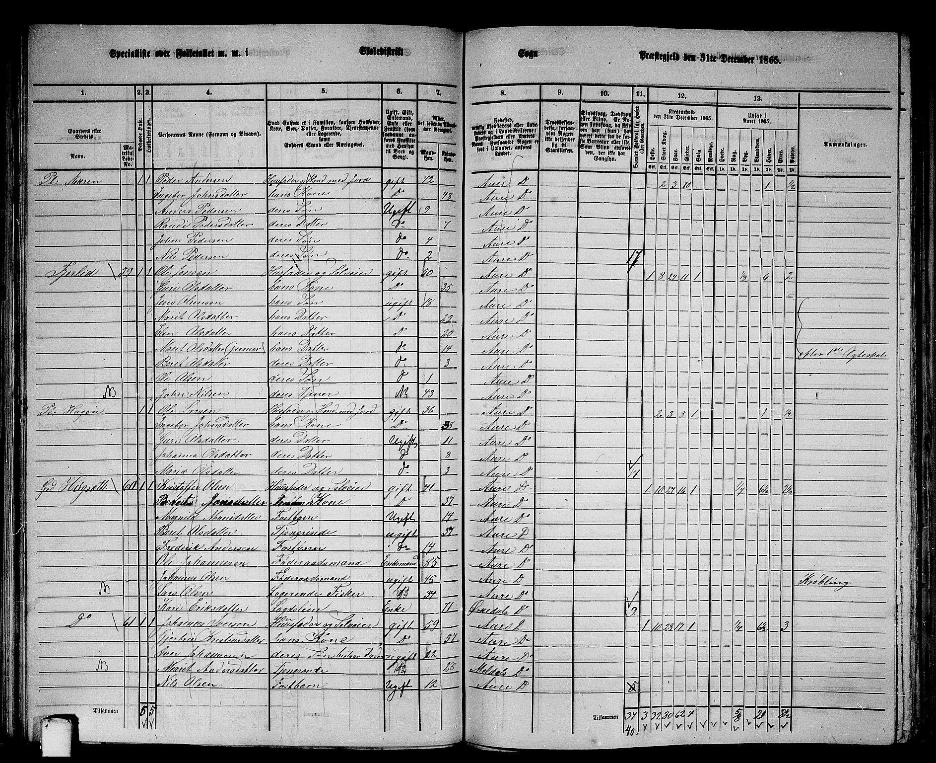 RA, 1865 census for Aure, 1865, p. 74