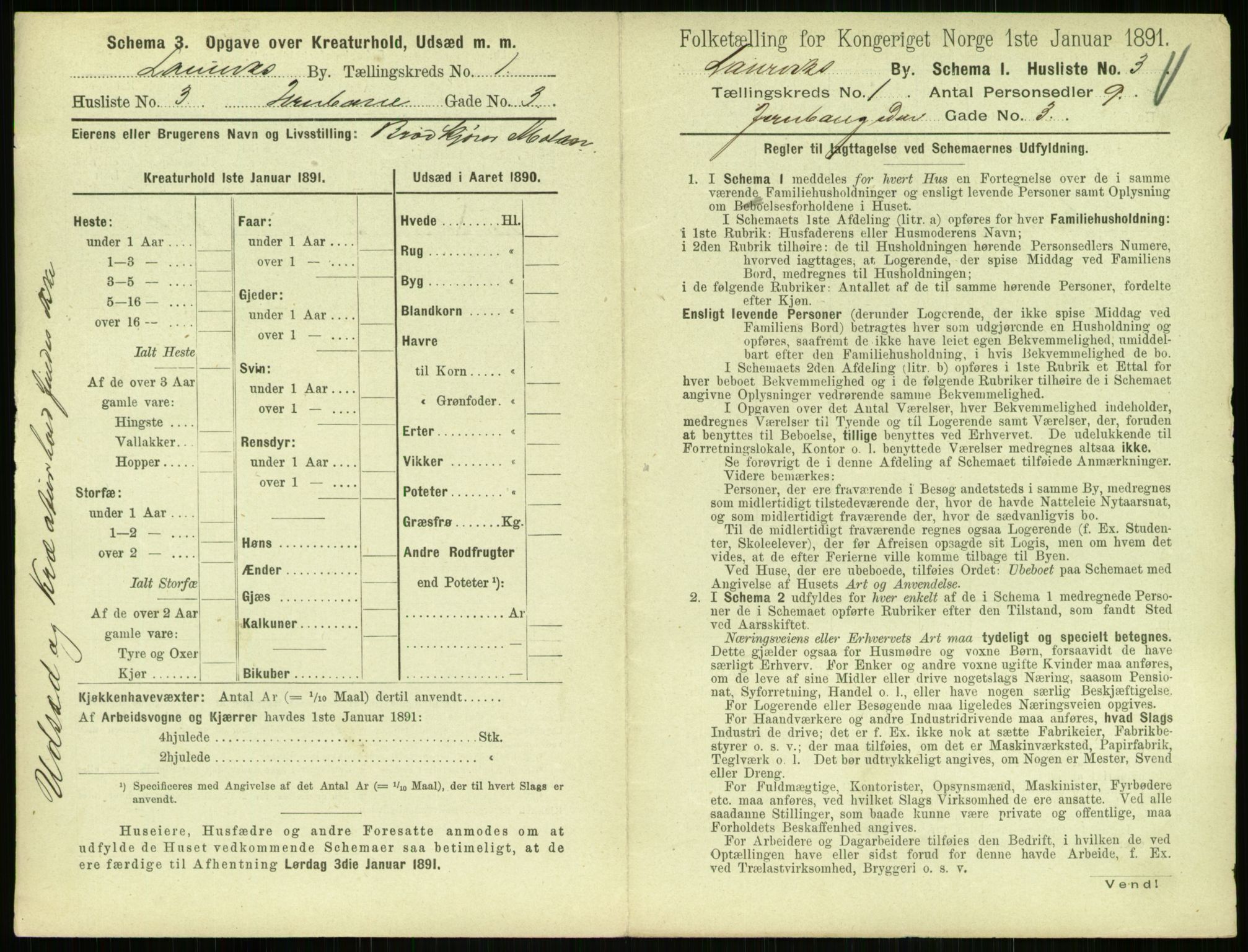 RA, 1891 census for 0707 Larvik, 1891, p. 49