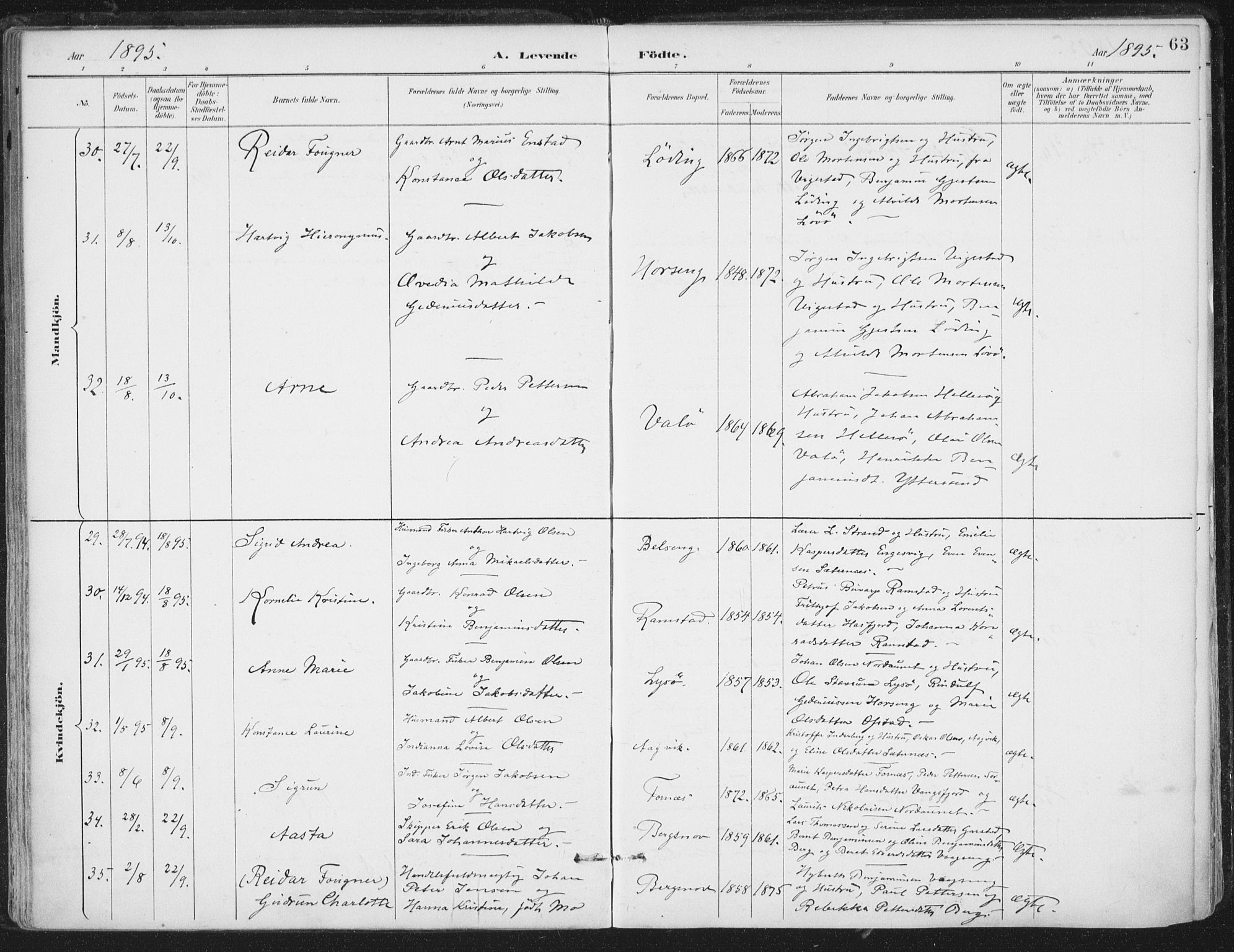 Ministerialprotokoller, klokkerbøker og fødselsregistre - Nord-Trøndelag, AV/SAT-A-1458/786/L0687: Parish register (official) no. 786A03, 1888-1898, p. 63