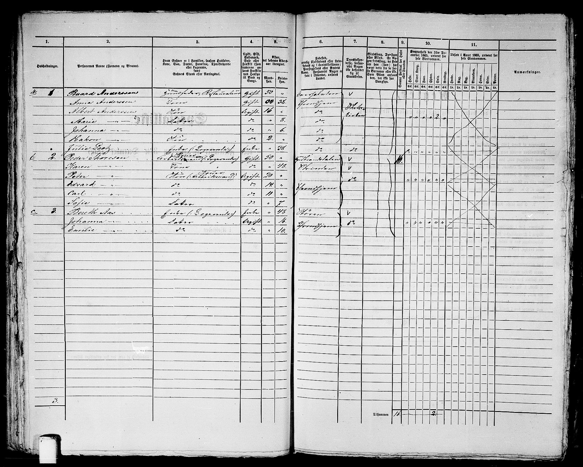 RA, 1865 census for Trondheim, 1865, p. 2124