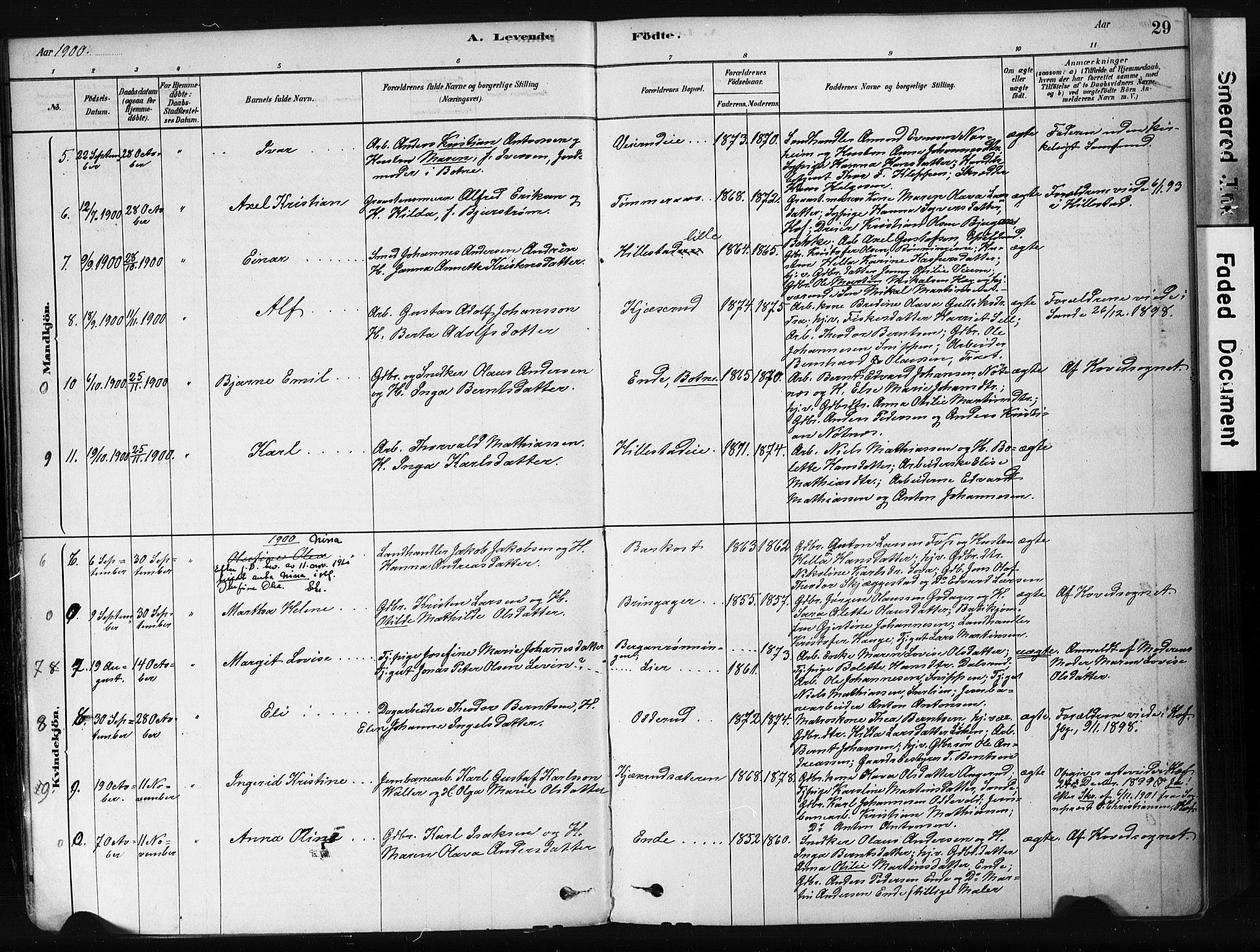 Botne kirkebøker, AV/SAKO-A-340/F/Fb/L0001: Parish register (official) no. II 1, 1878-1902, p. 29