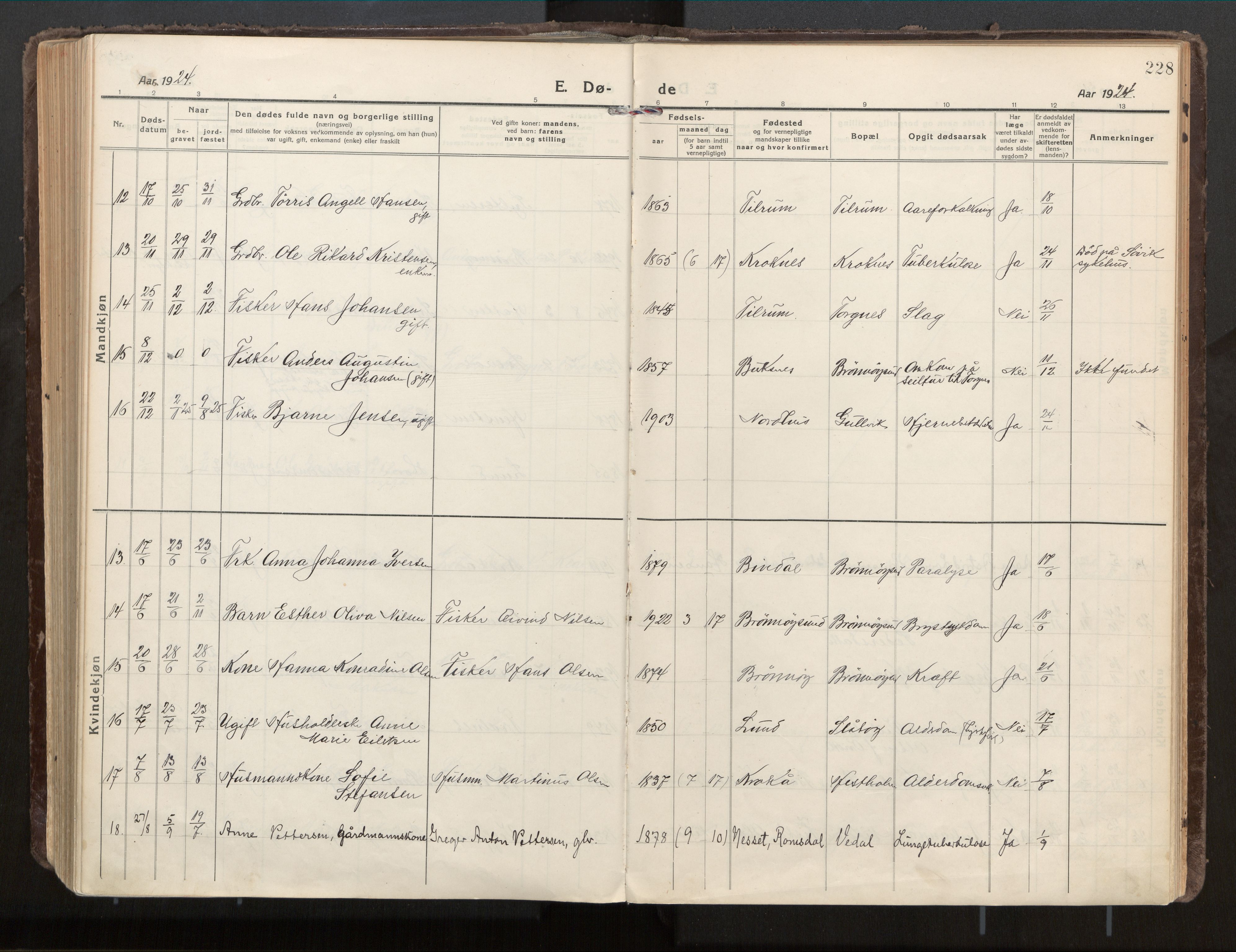 Ministerialprotokoller, klokkerbøker og fødselsregistre - Nordland, AV/SAT-A-1459/813/L0207a: Parish register (official) no. 813A18, 1919-1927, p. 228