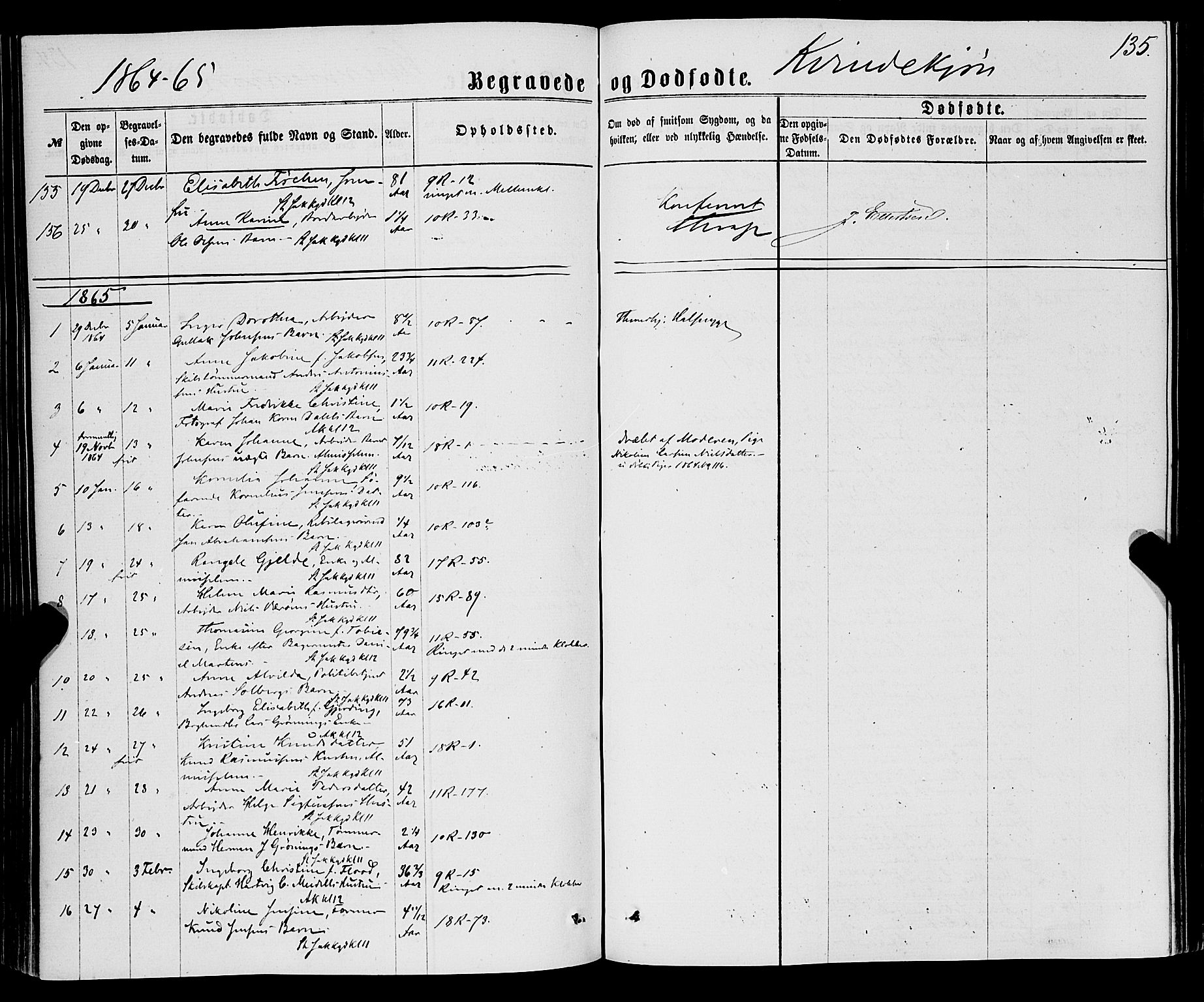 Domkirken sokneprestembete, SAB/A-74801/H/Haa/L0042: Parish register (official) no. E 3, 1863-1876, p. 135