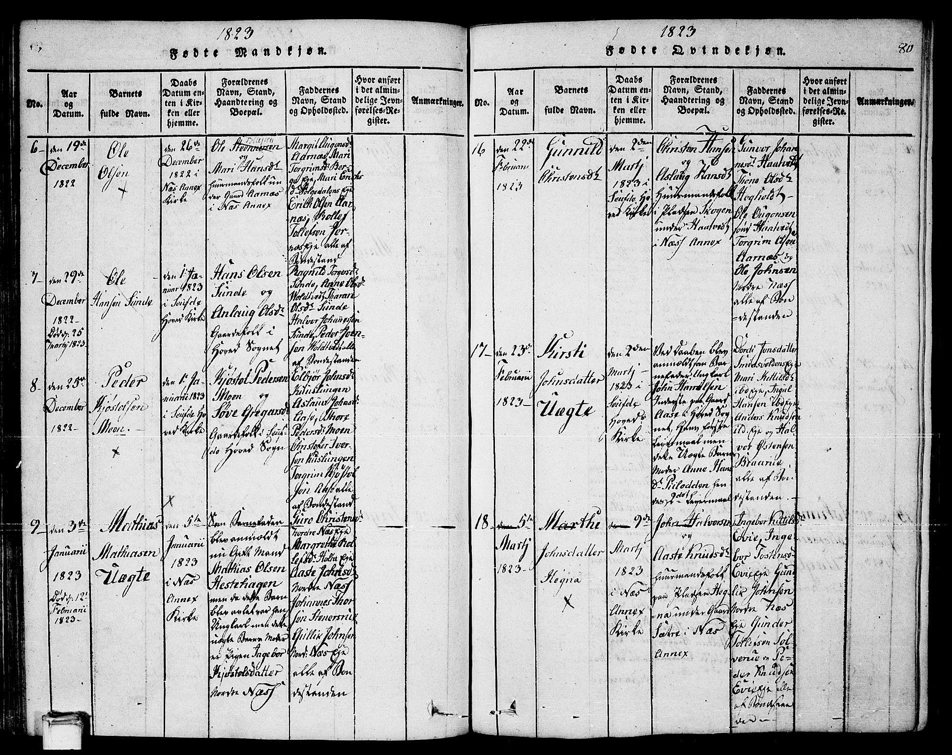 Sauherad kirkebøker, AV/SAKO-A-298/F/Fa/L0005: Parish register (official) no. I 5, 1815-1829, p. 80