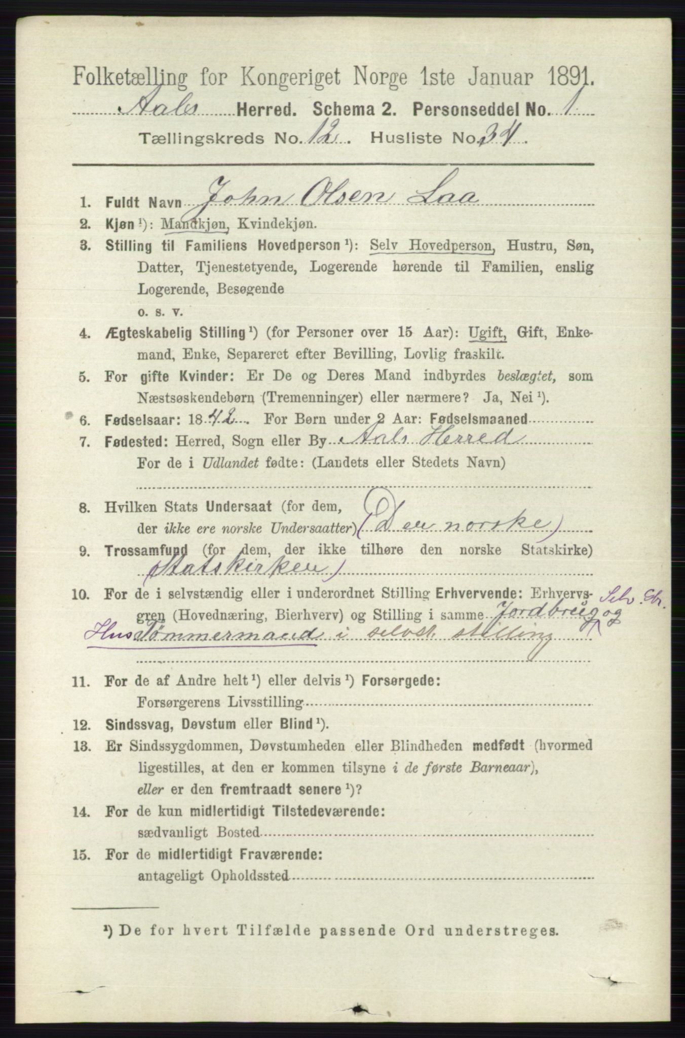 RA, 1891 census for 0619 Ål, 1891, p. 3202