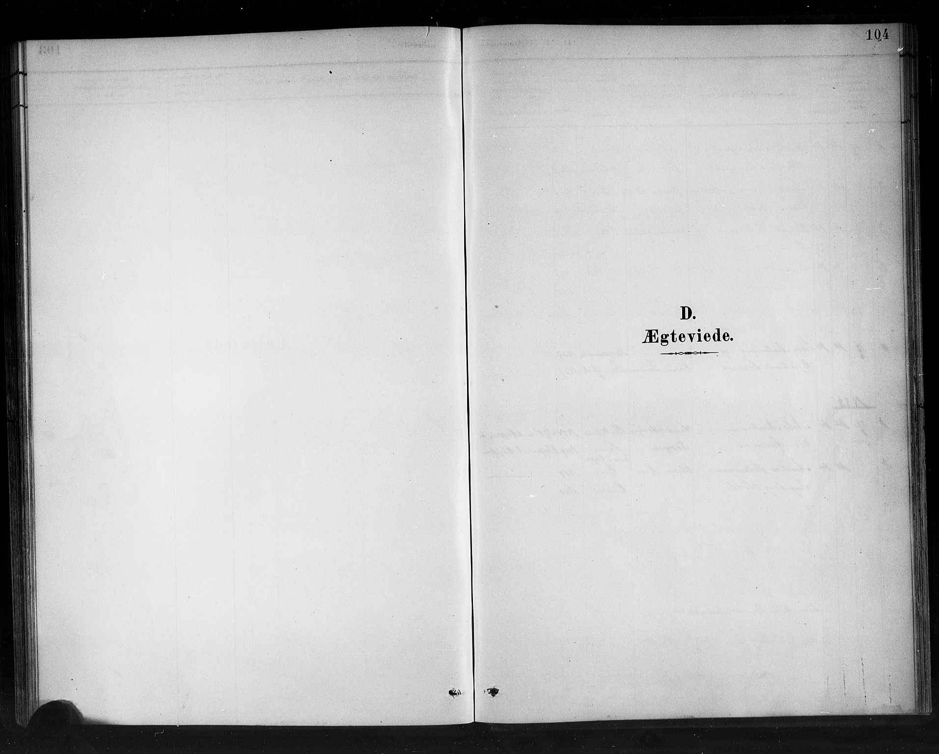 Stryn Sokneprestembete, SAB/A-82501: Parish register (copy) no. C 3, 1881-1905, p. 104